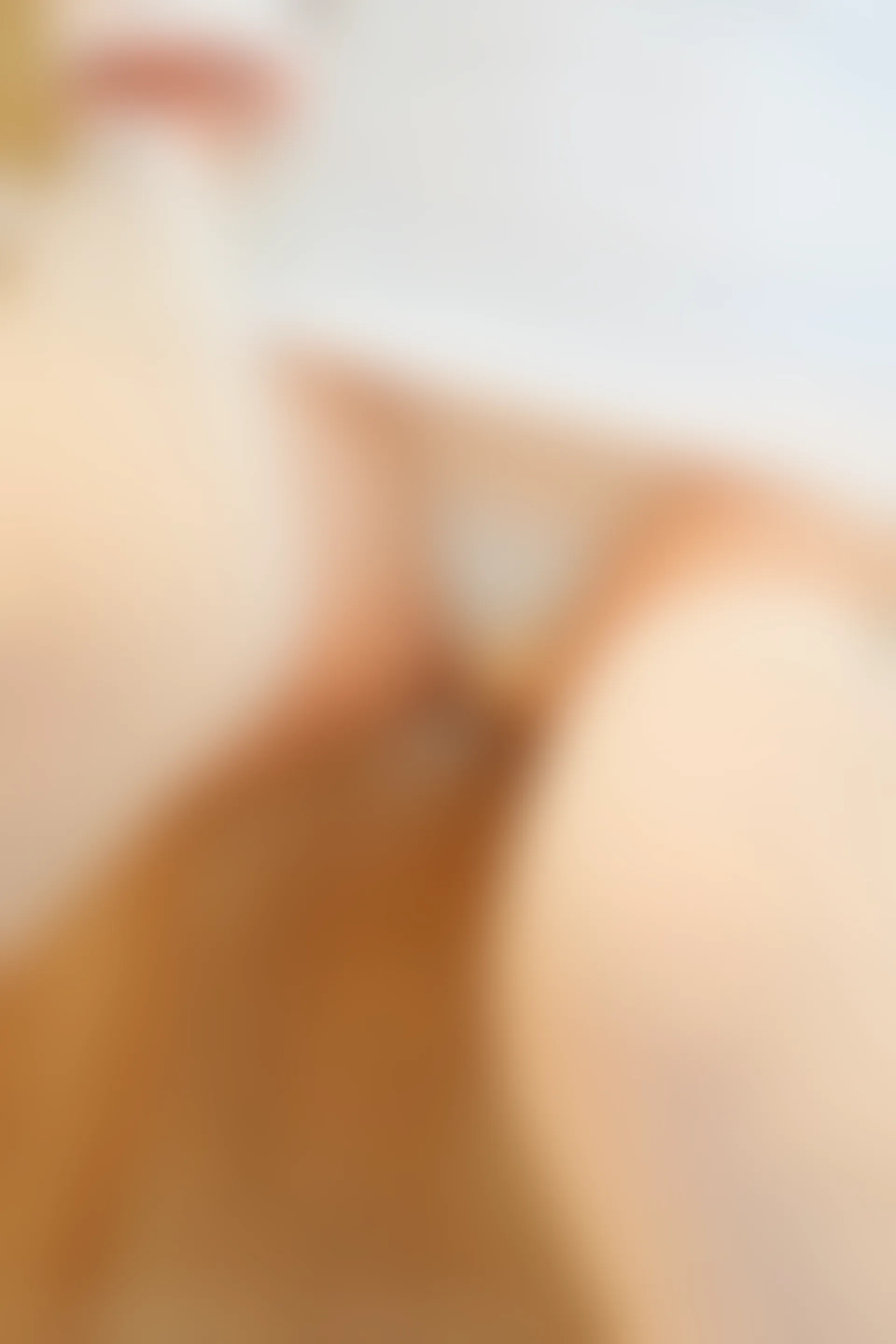XiuRen秀人网 2021.10.15 No.4071 周慕汐baby 吊袜美腿[112+1P／1GB]