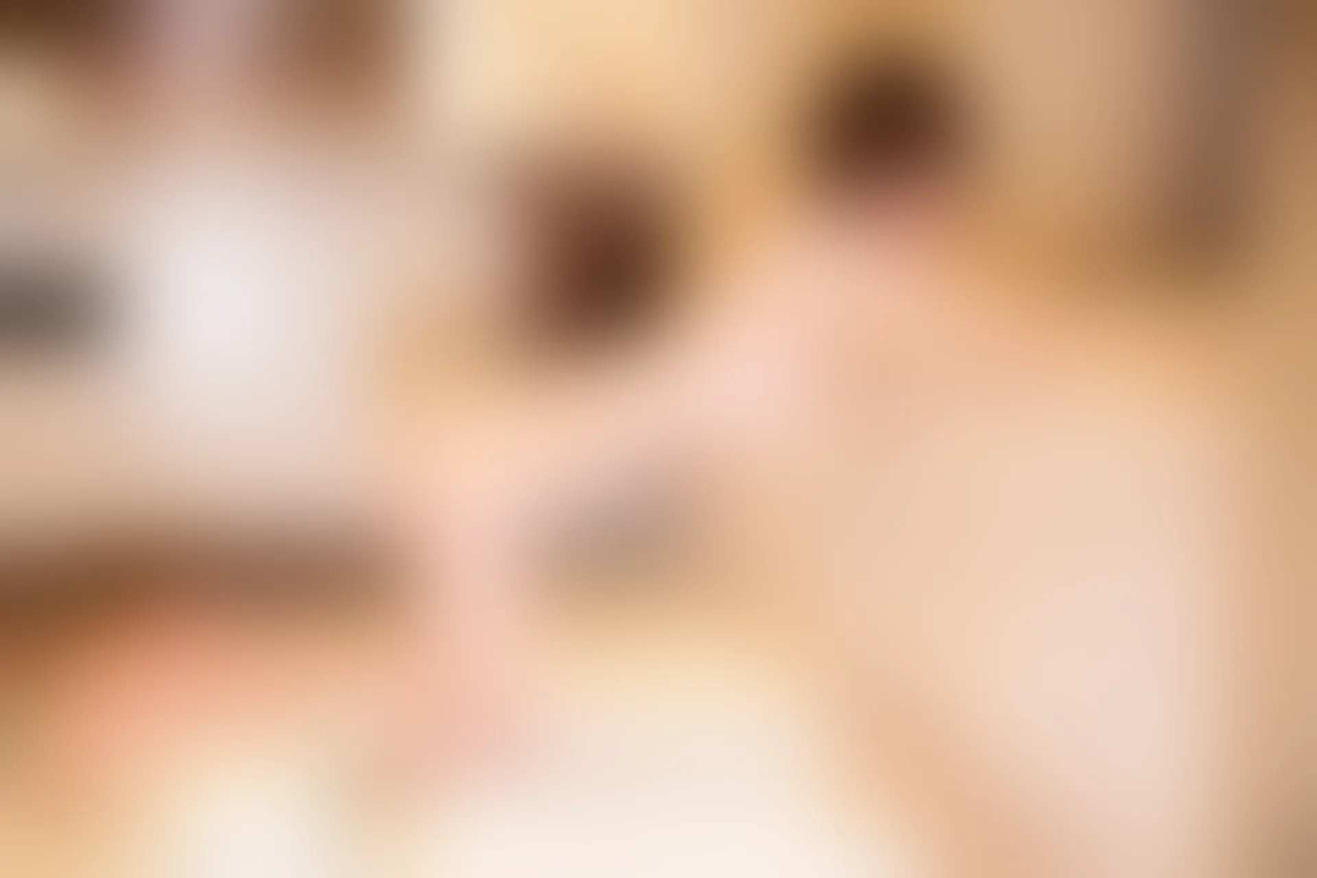 XIUREN秀人网 2024.01.12 NO.7953 金tiao[74+1P／675MB]