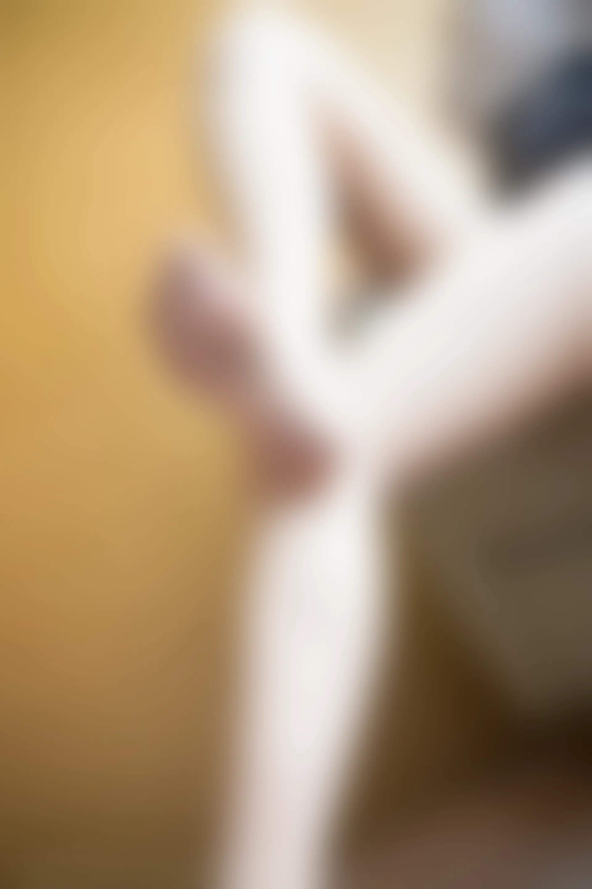 XiuRen秀人网 2019.08.22 No.1637 芝芝Booty [100+1P]