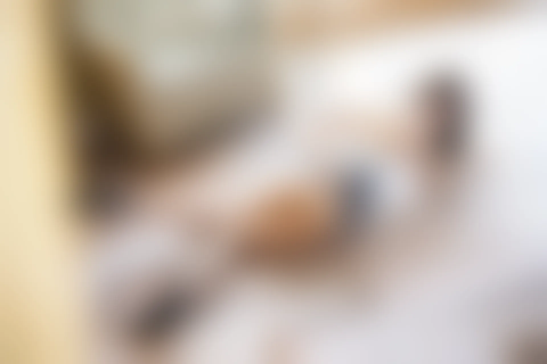 XiuRen秀人网 2019.08.22 No.1637 芝芝Booty [100+1P]