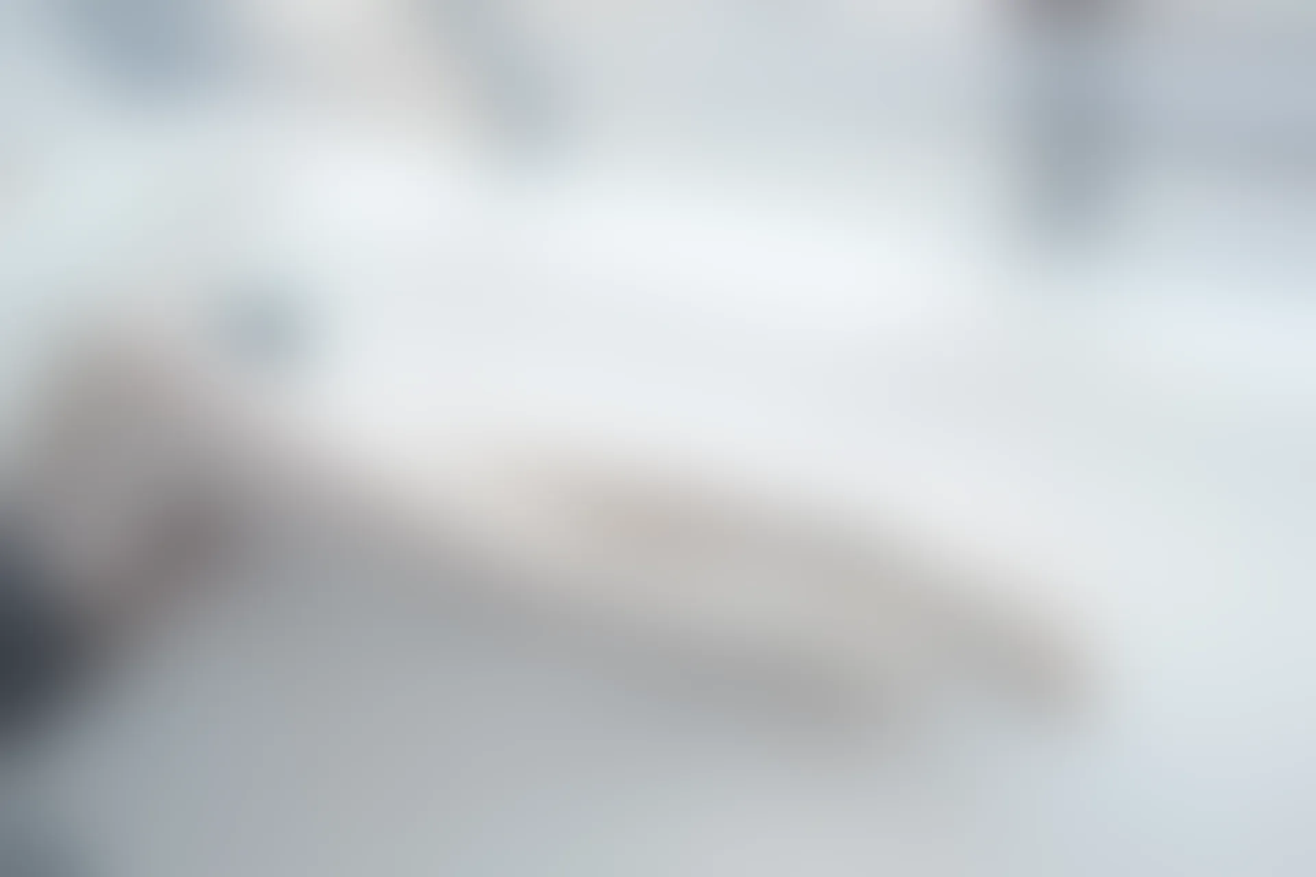 森萝财团 R15-028 [96P-444M]可爱, 学生装, 森萝财团, 美腿