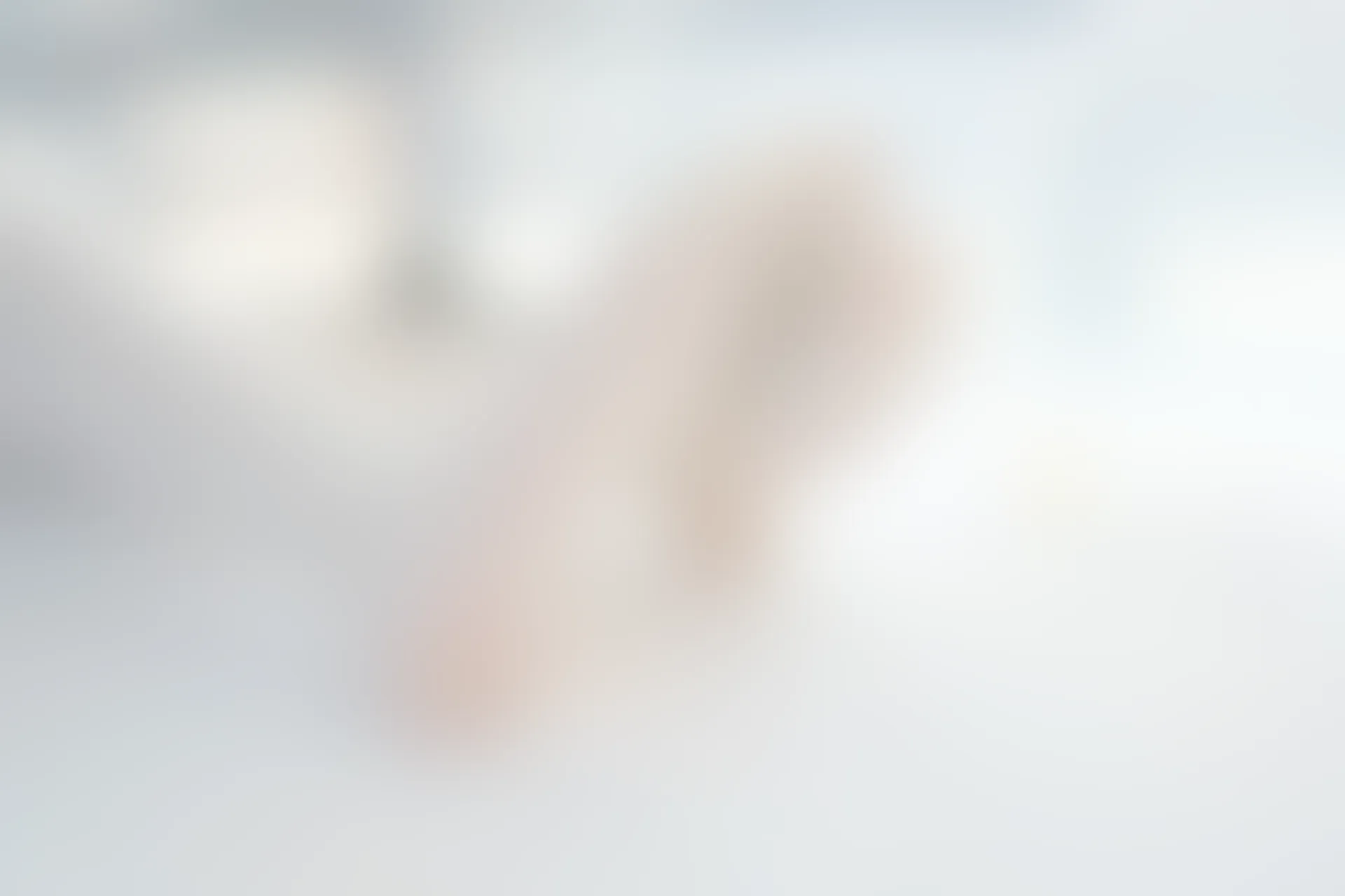 森萝财团 R15-028 [96P-444M]可爱, 学生装, 森萝财团, 美腿