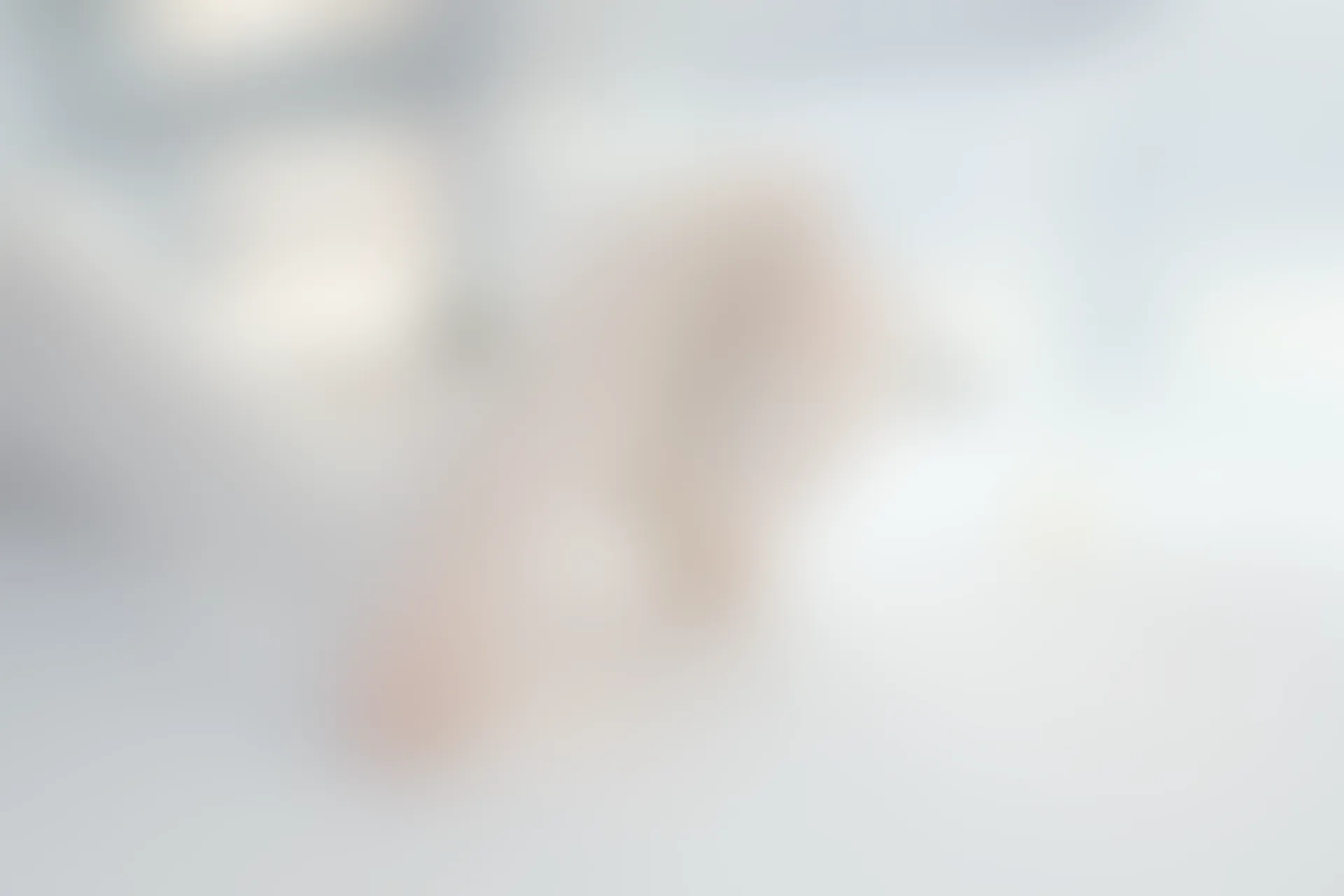 森萝财团 R15-028 [96P-444M]可爱, 学生装, 森萝财团, 美腿