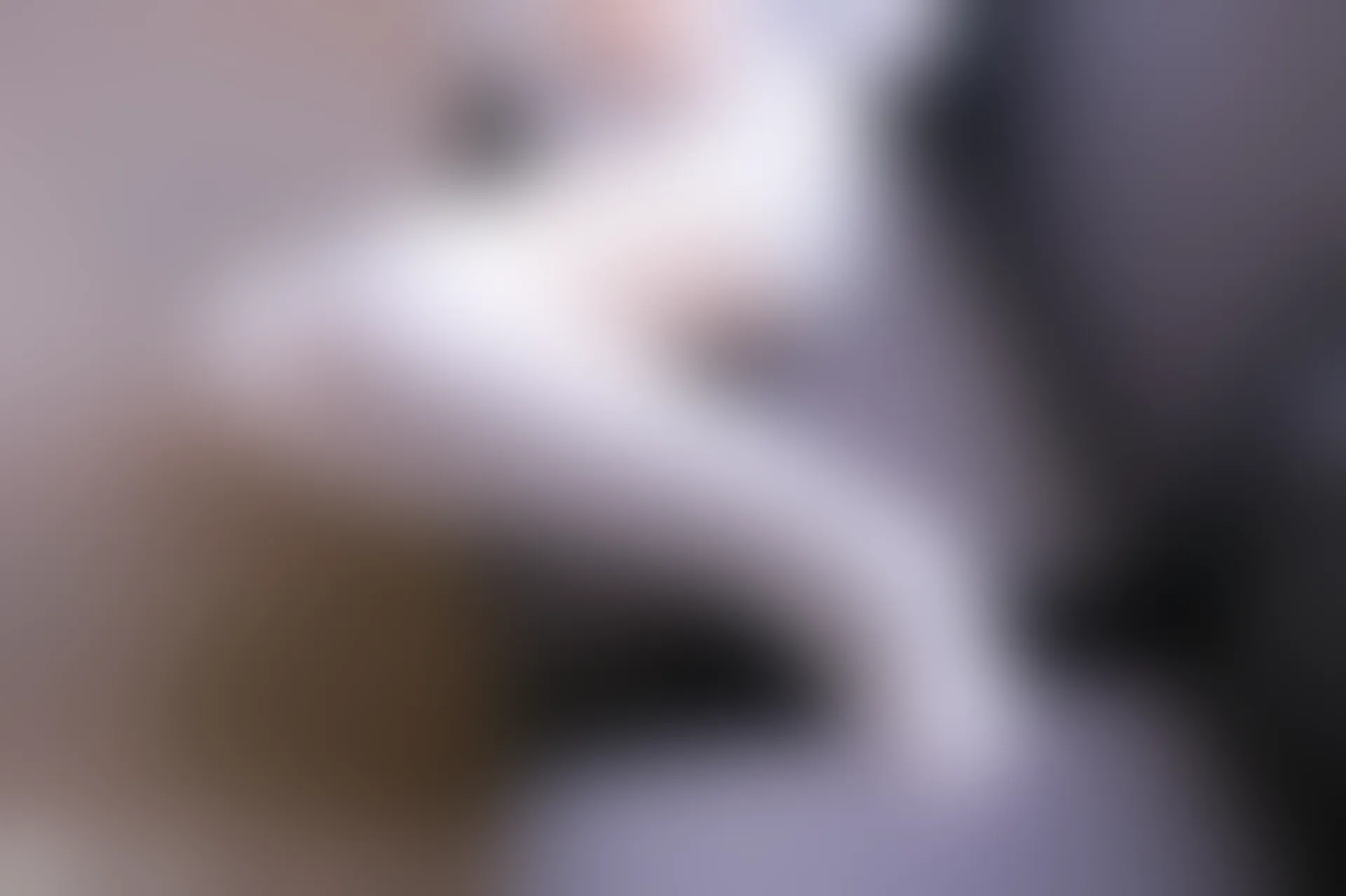 C44.004 沙发上的白丝 [39P-83MB]