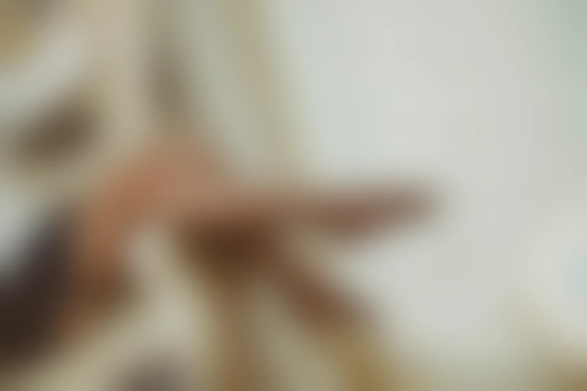 SSA丝社 超清写真 NO.018 佳佳 小丝妹佳佳教你过期牛奶的正确用法[85P／1.26GB]