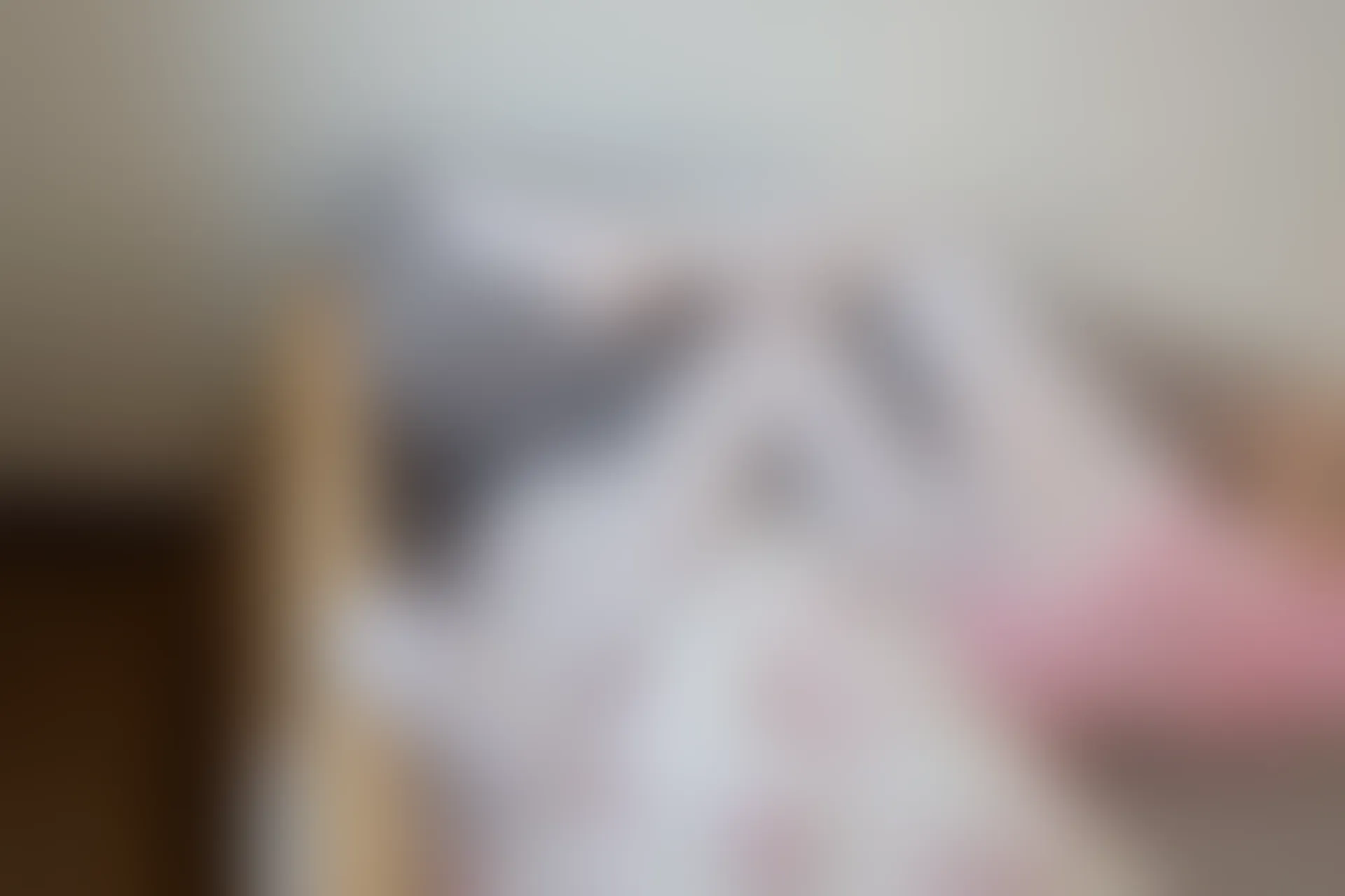 森萝财团 R15-020 [89P-551M]可爱, 森萝财团, 白丝, 美腿