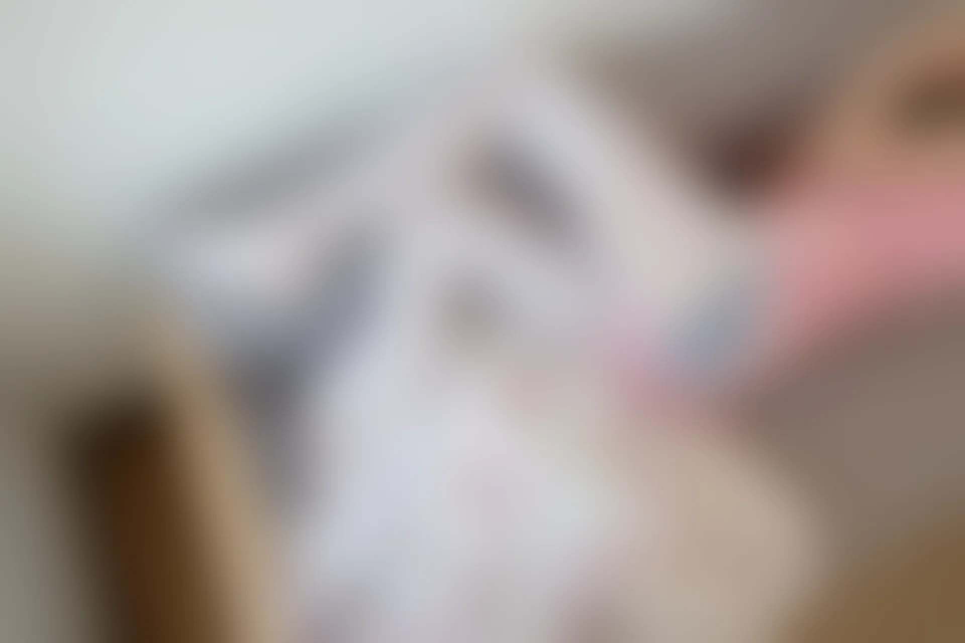 森萝财团 R15-020 [89P-551M]可爱, 森萝财团, 白丝, 美腿