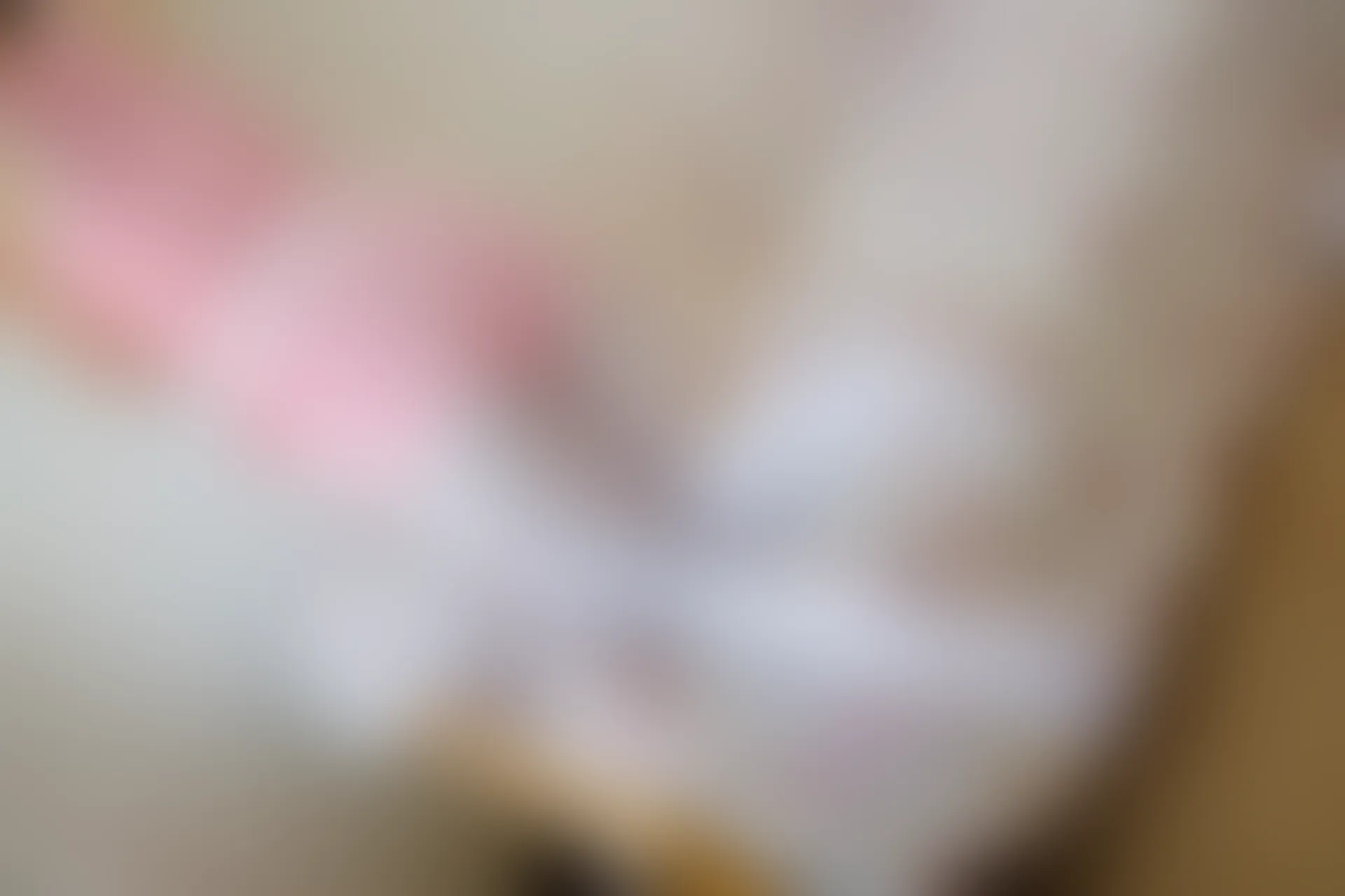 森萝财团 R15-020 [89P-551M]可爱, 森萝财团, 白丝, 美腿