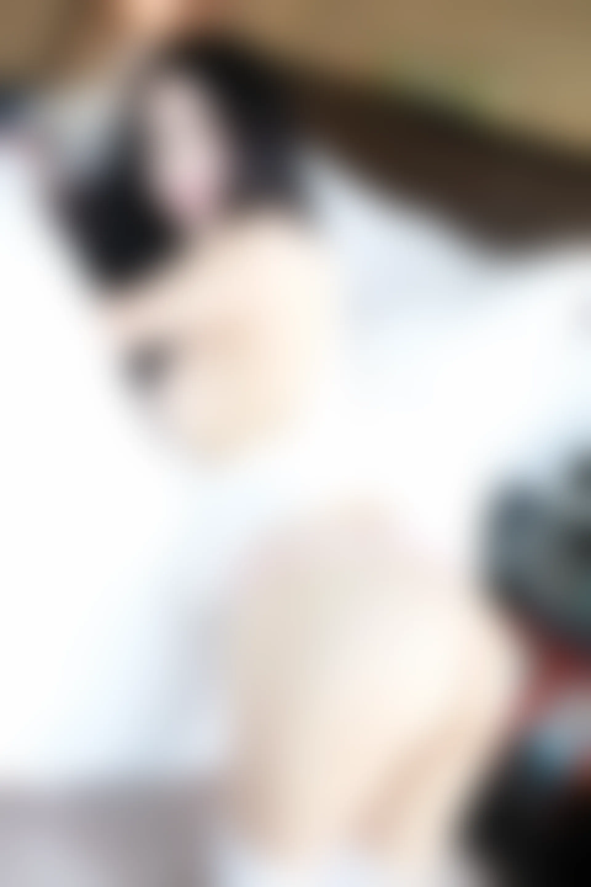 XiuRen秀人网 2016.05.16 No.525 谢芷馨Sindy [50P-211M]