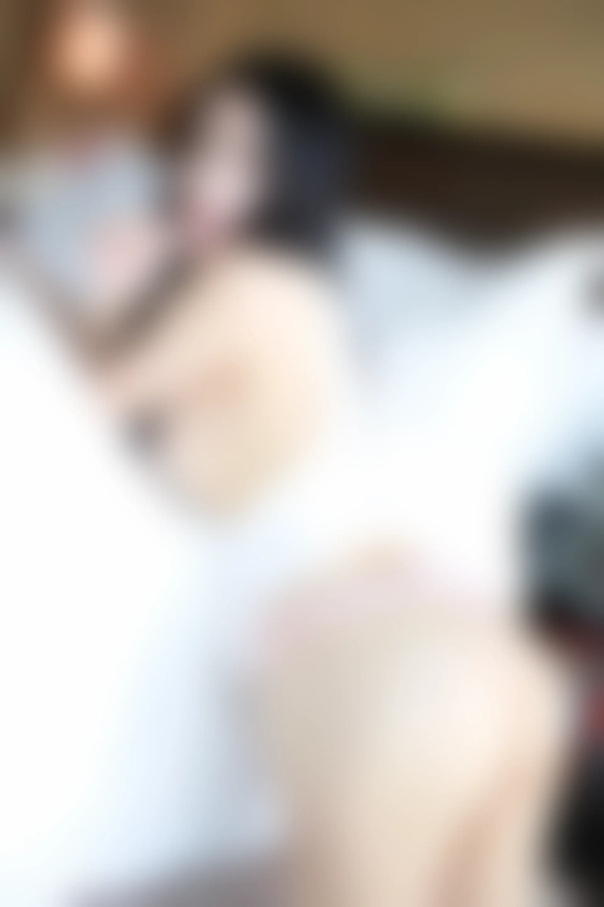 XiuRen秀人网 2016.05.16 No.525 谢芷馨Sindy [50P-211M]