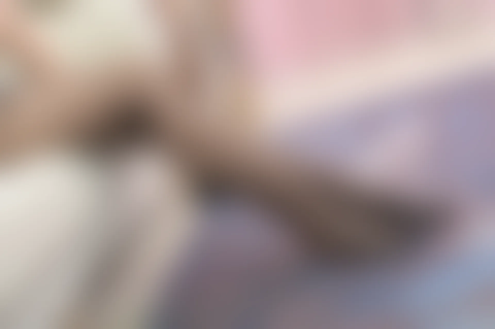 SSA丝社 超清写真 NO.184 小鹿 混搭个性黑丝短裙穿搭示范[153P-2.56GB]