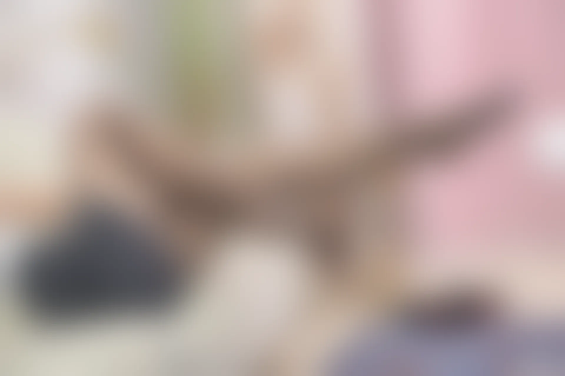 SSA丝社 超清写真 NO.184 小鹿 混搭个性黑丝短裙穿搭示范[153P-2.56GB]