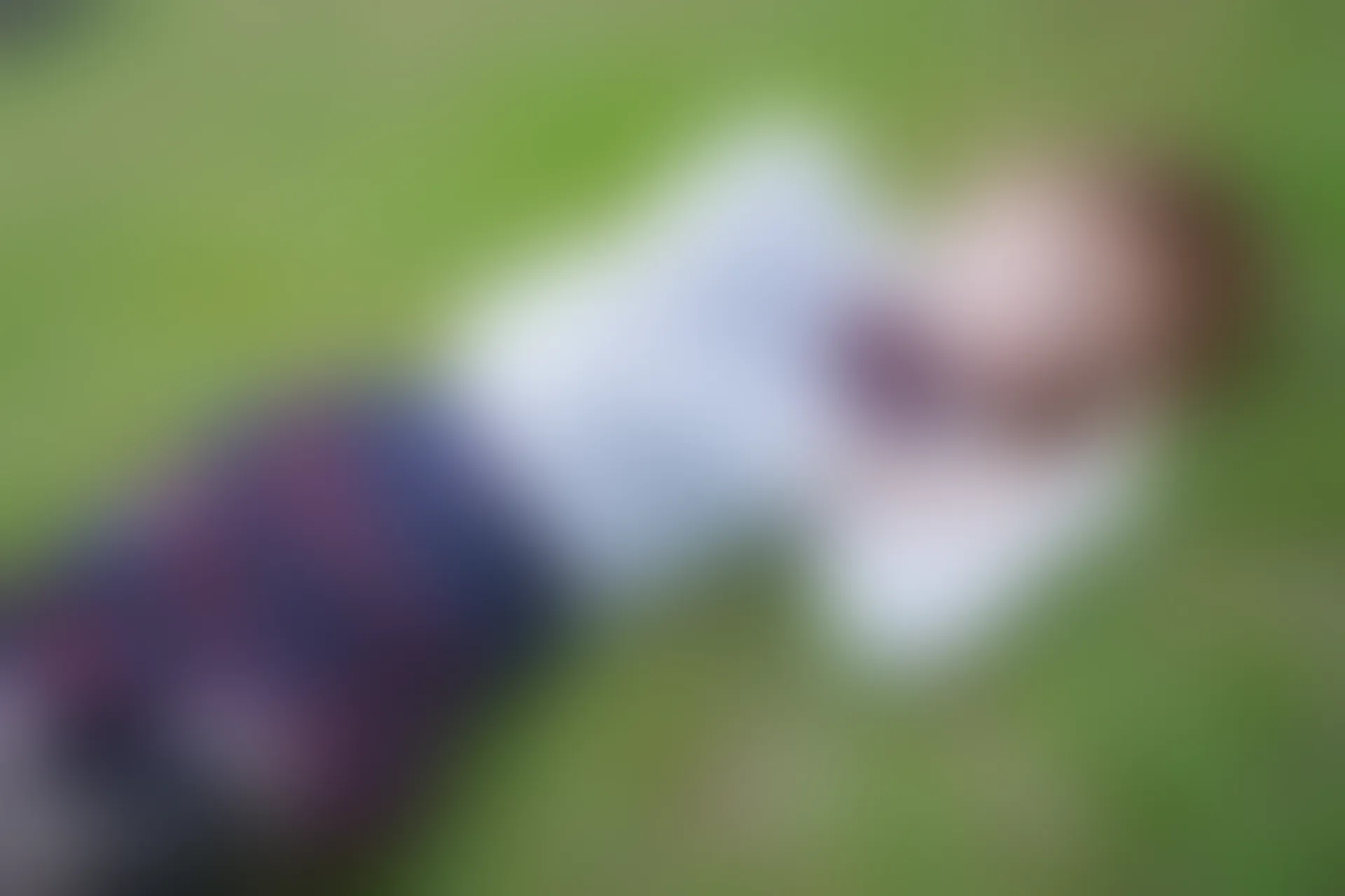 VOL.006 绿草坪 [40P-113MB]