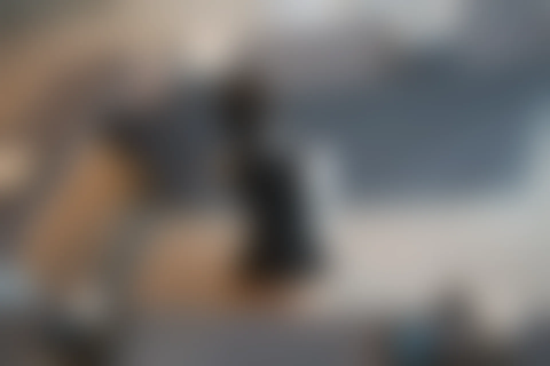 XiuRen秀人网 2021.10.19 No.4083 一颗甜蛋黄a[78+1P／717MB]