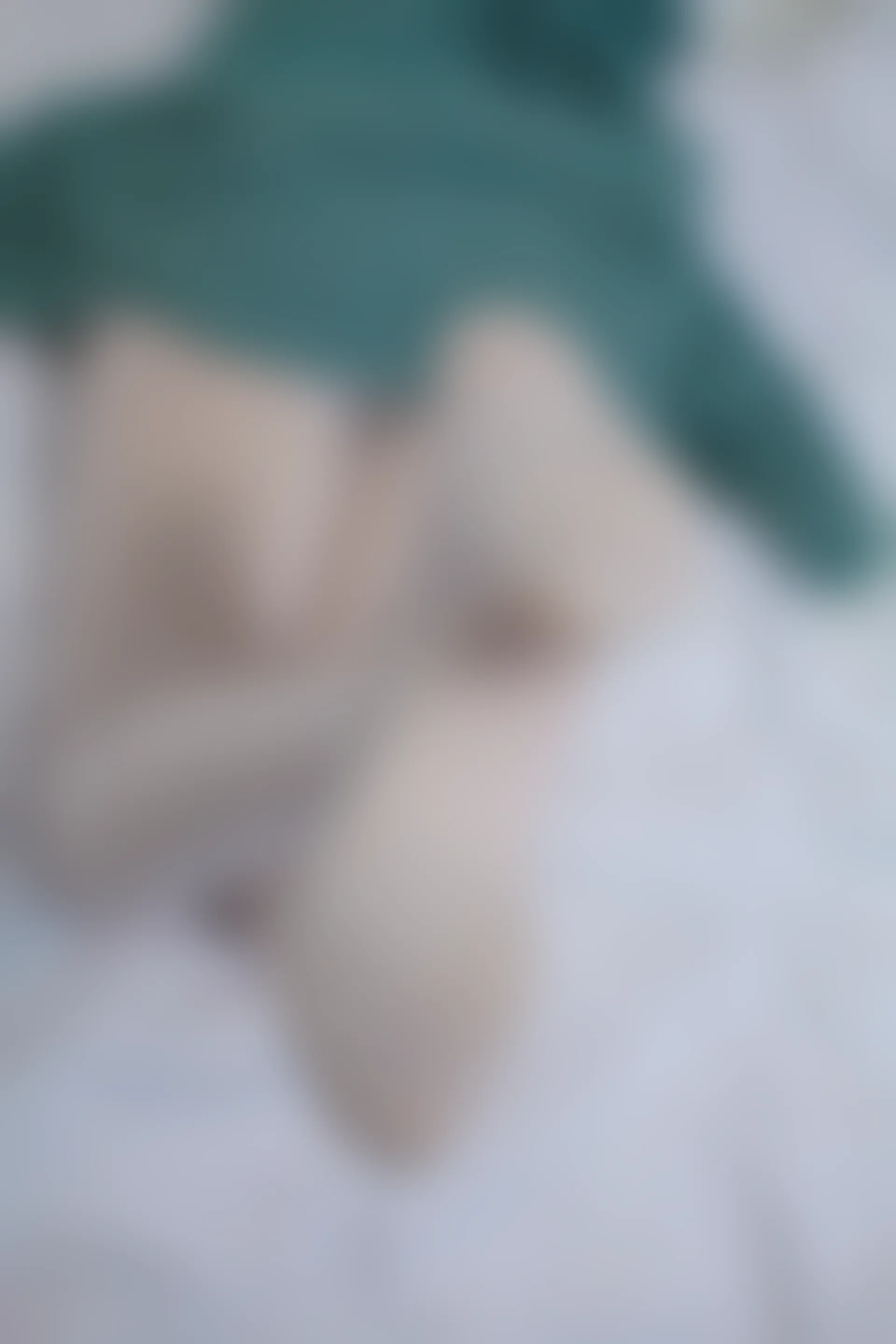 少女秩序 EX.03 双马尾白丝连衣裙[63P-470.5M]双马尾, 少女秩序, 白丝, 美腿, 美足, 连衣裙