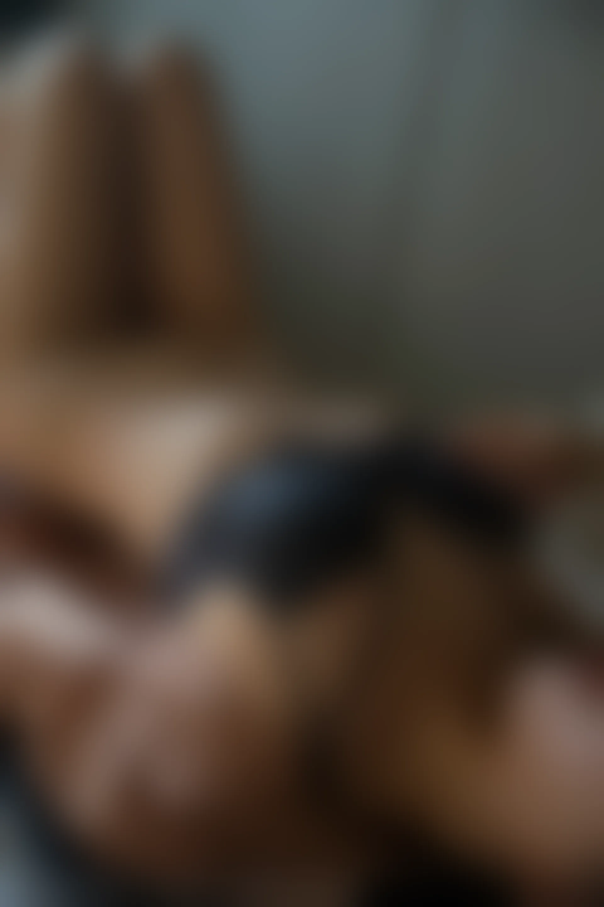 XiuRen秀人网 2021.12.28 No.4393 一颗甜蛋黄a 性感美腿[82+1P 733MB]