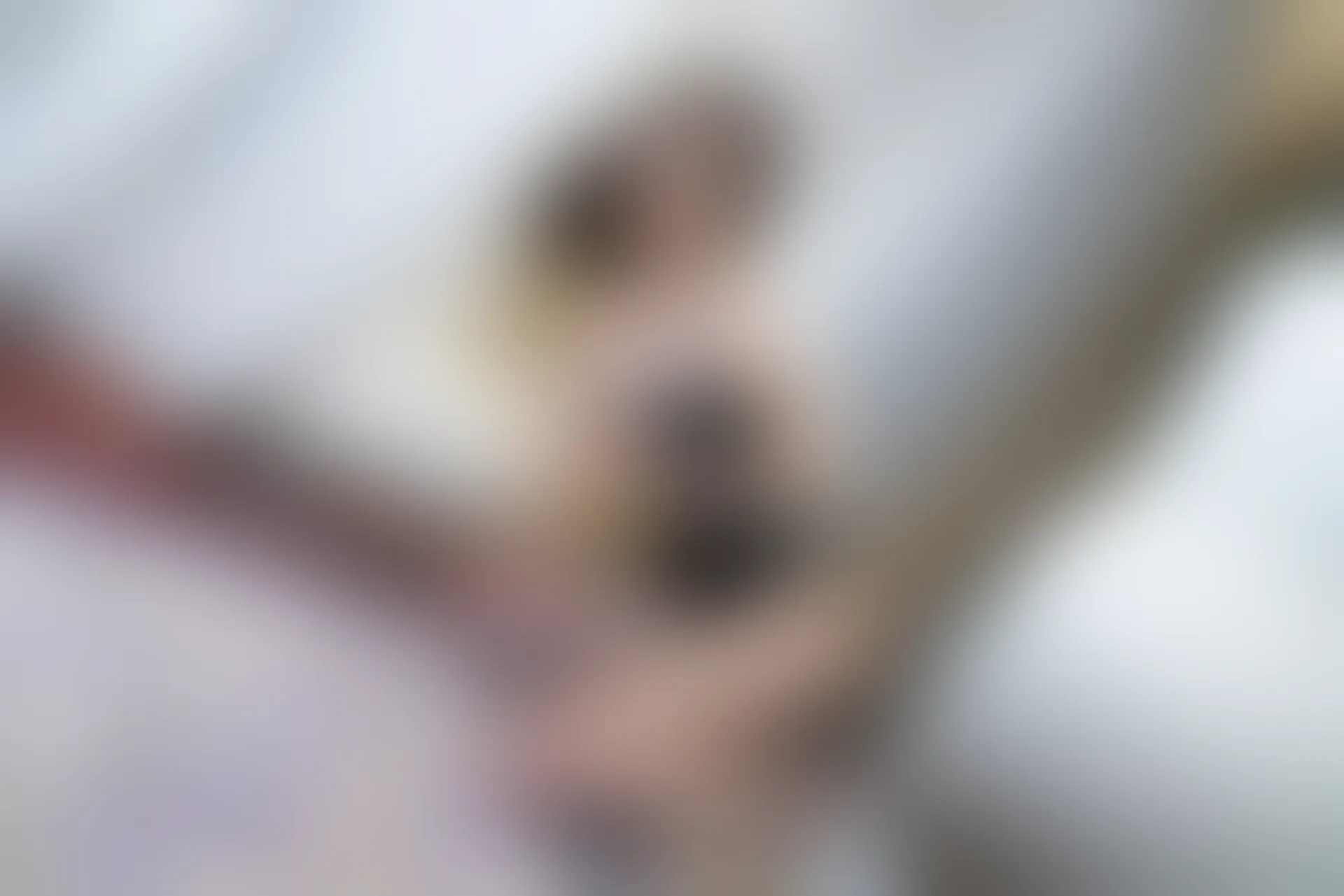 XiuRen秀人网 2021.10.28 No.4134 王心怡[75+1P／814MB]