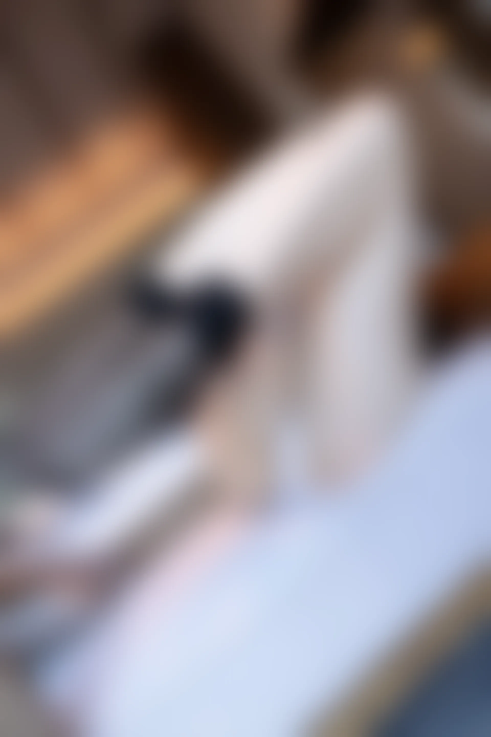XiuRen秀人网 2021.10.25 No.4114 芝芝Booty[97+1P／908MB]