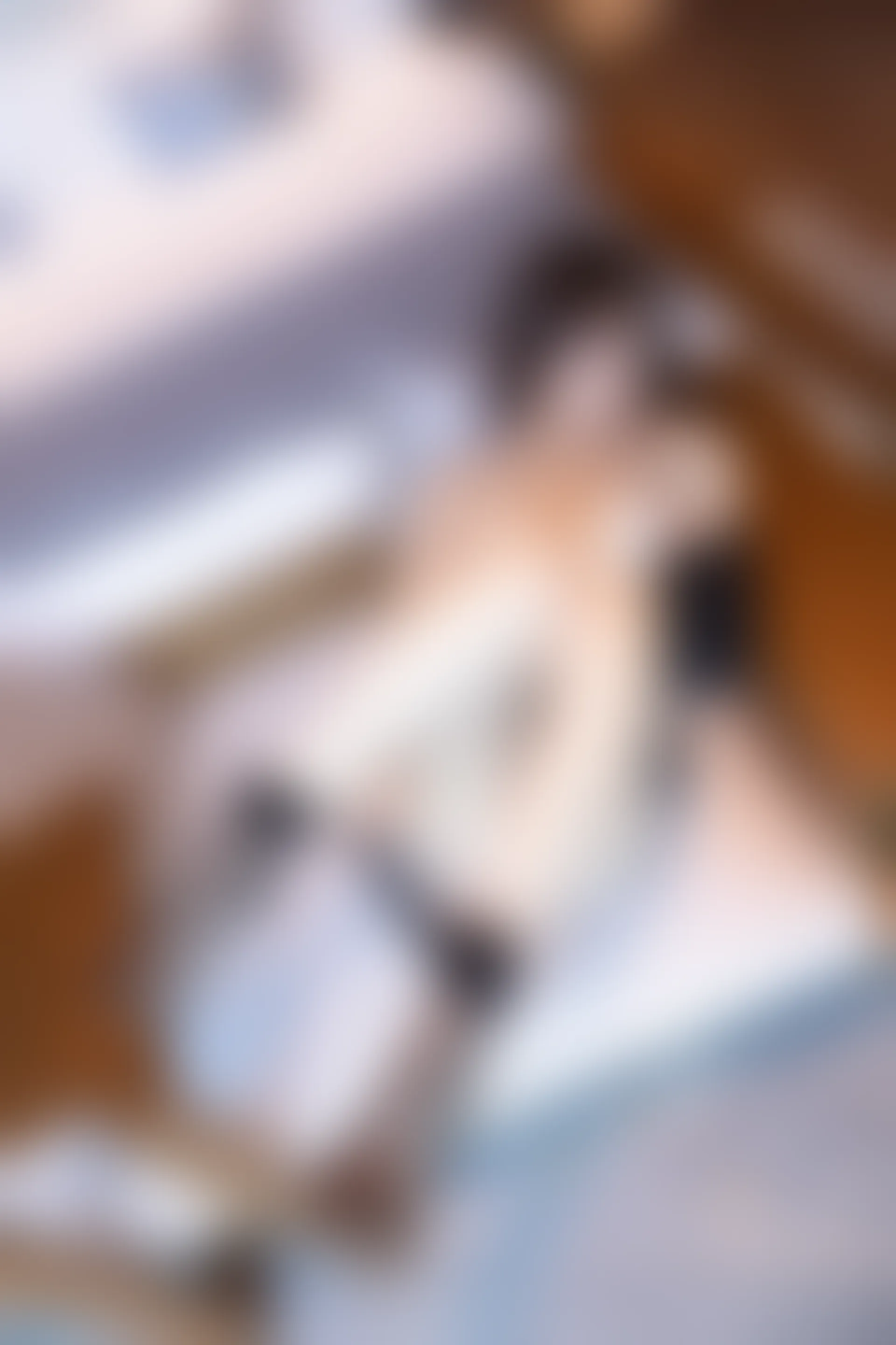 XiuRen秀人网 2021.10.25 No.4114 芝芝Booty[97+1P／908MB]