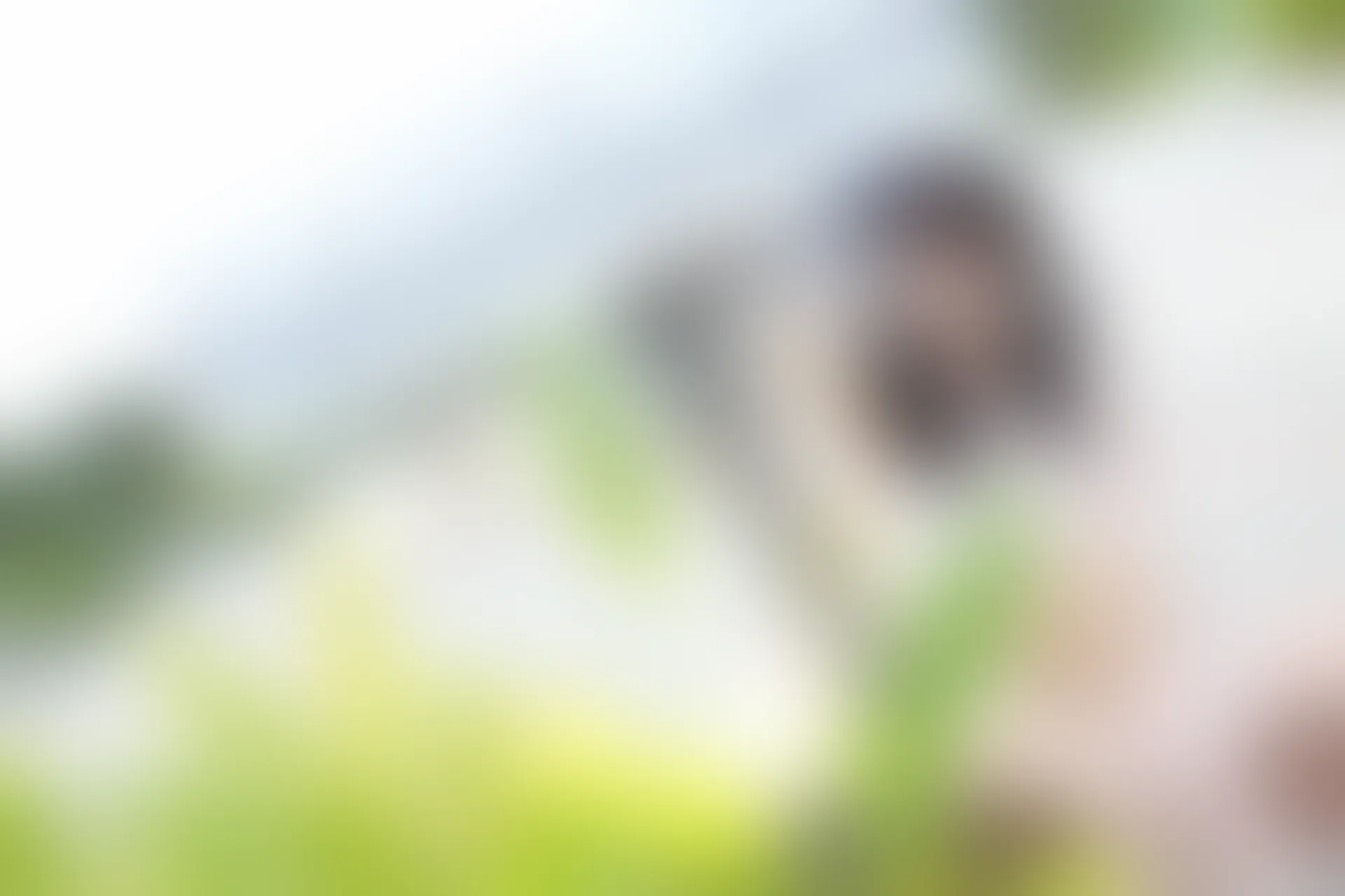 XiuRen秀人网 2015.02.02 No.291 刘飞儿Faye [53P274MB]