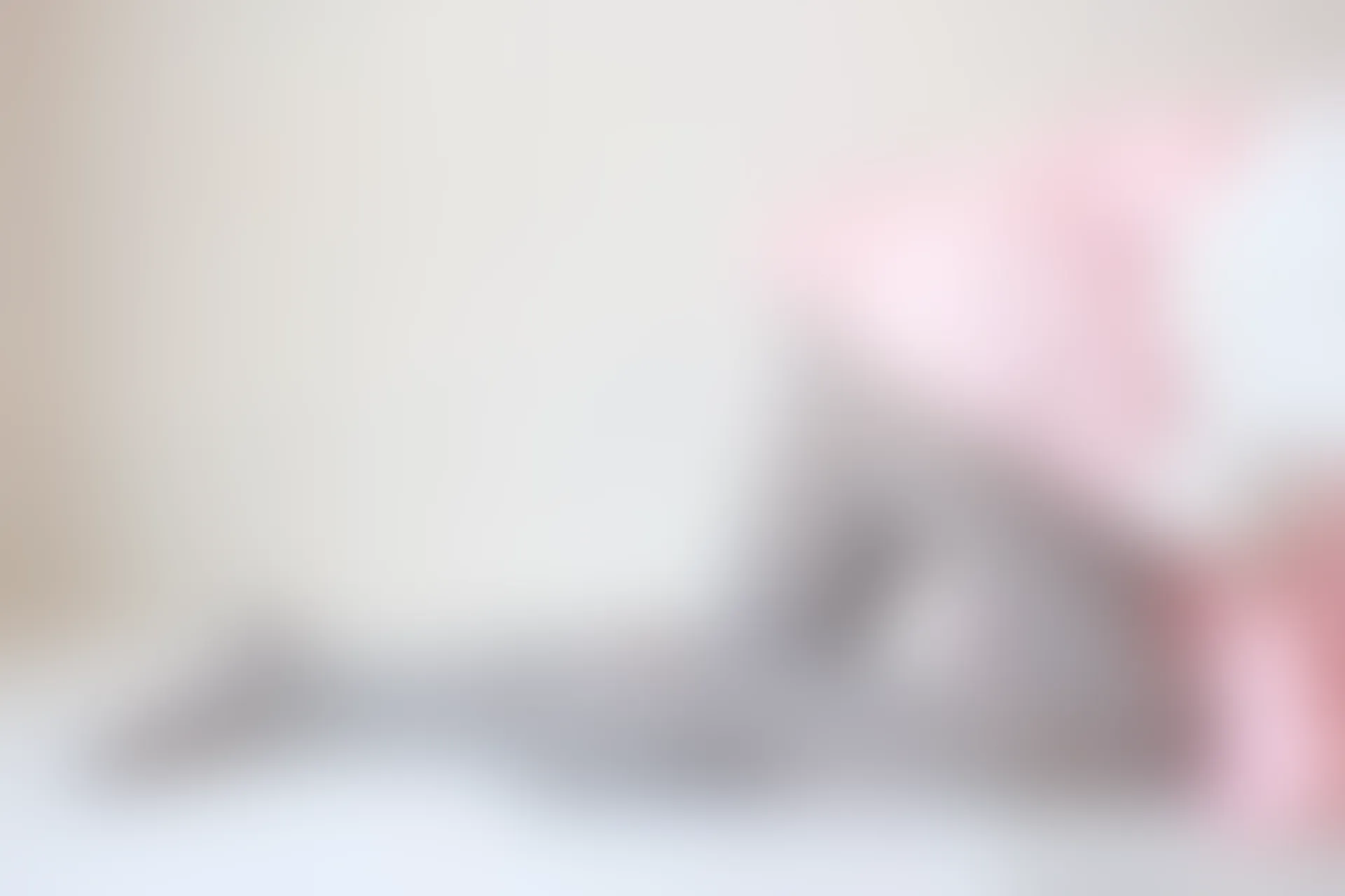 森萝财团 X-015 [130P1V-1.44G]可爱, 森萝财团, 美腿, 美足