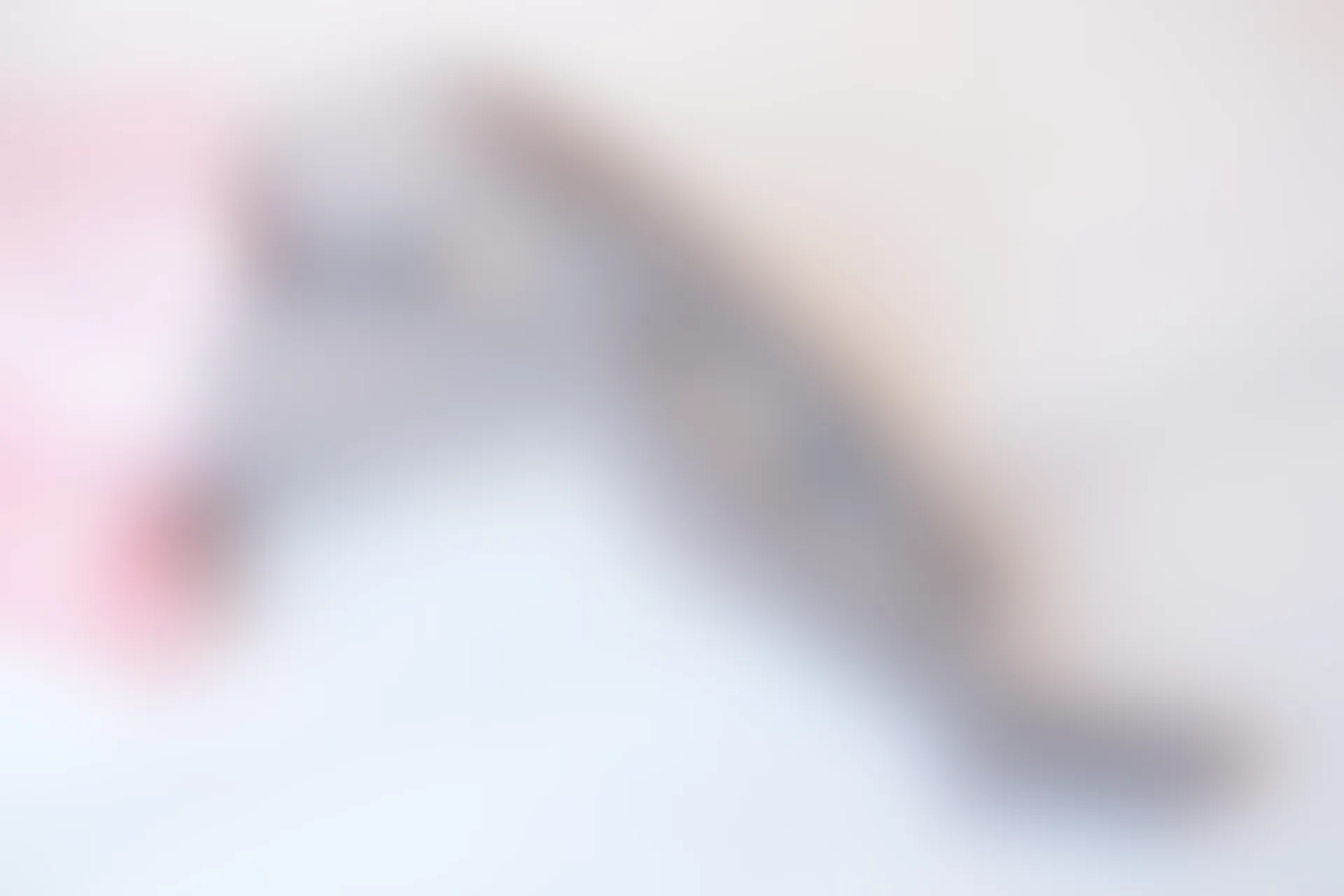 森萝财团 X-015 [130P1V-1.44G]可爱, 森萝财团, 美腿, 美足
