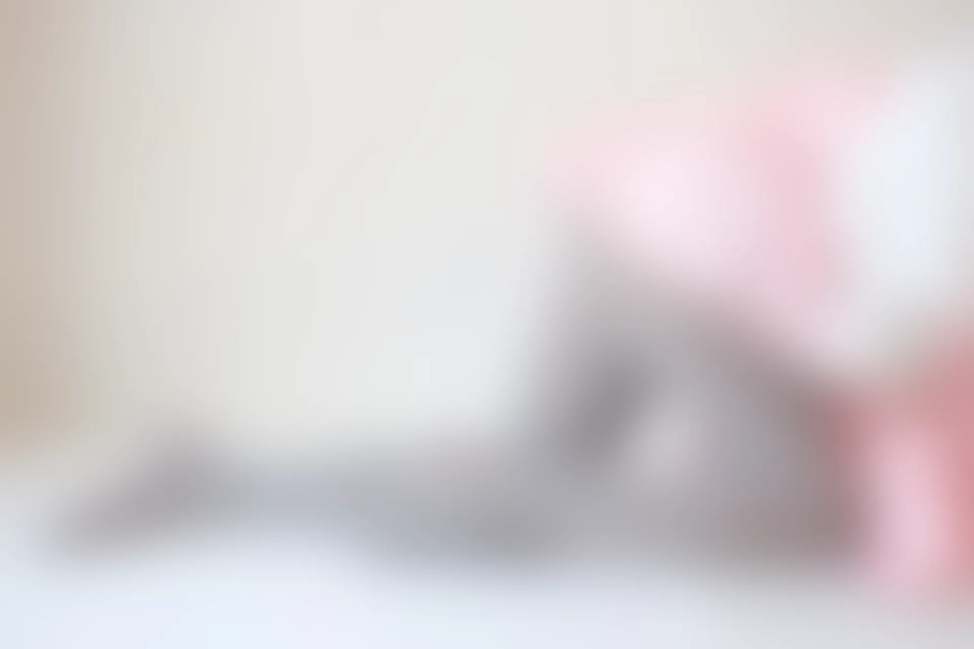 森萝财团 X-015 [130P1V-1.44G]可爱, 森萝财团, 美腿, 美足