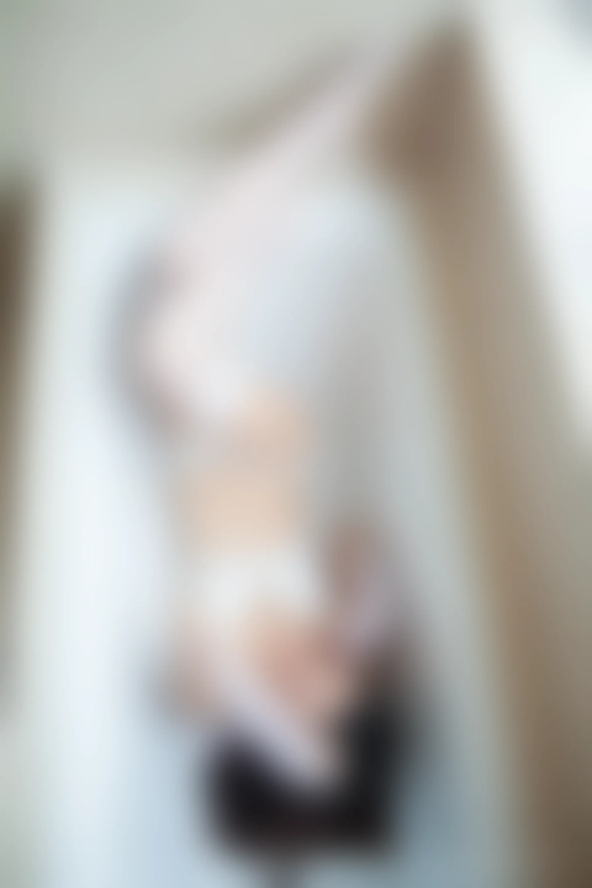 XiuRen秀人网 2013.12.31 No.077 燕甘甘