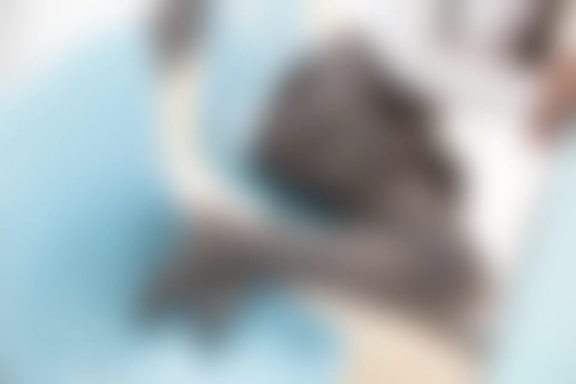 森萝财团 R15-042 [96P-549M]学生装, 森萝财团, 美腿, 黑丝