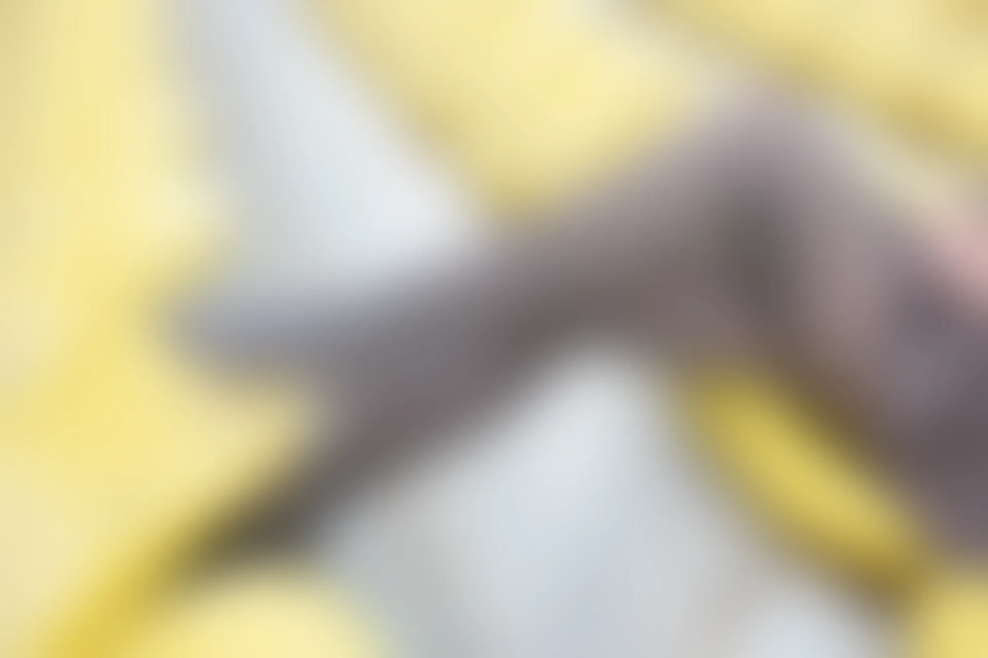 森萝财团 R15-042 [96P-549M]学生装, 森萝财团, 美腿, 黑丝