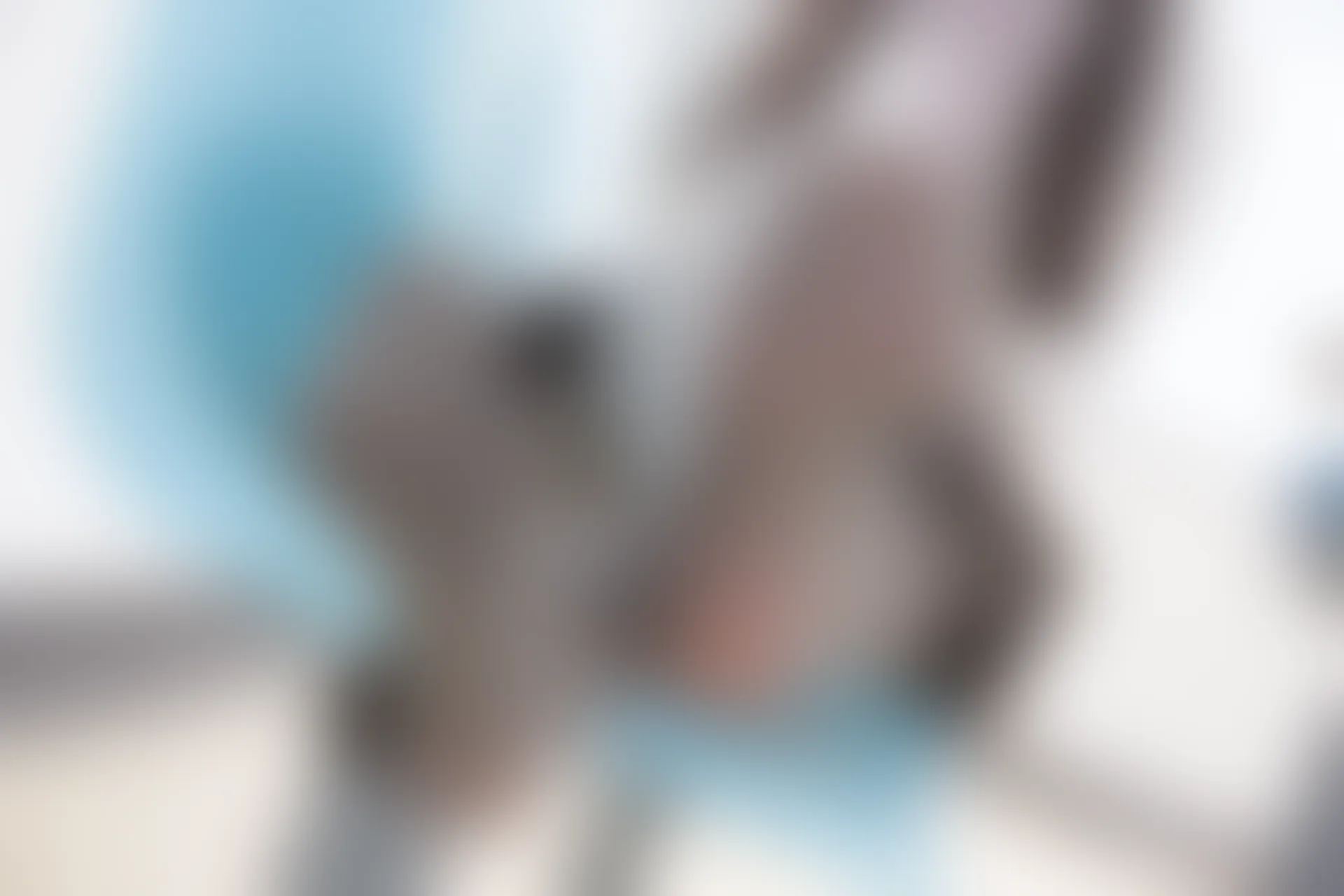森萝财团 R15-042 [96P-549M]学生装, 森萝财团, 美腿, 黑丝