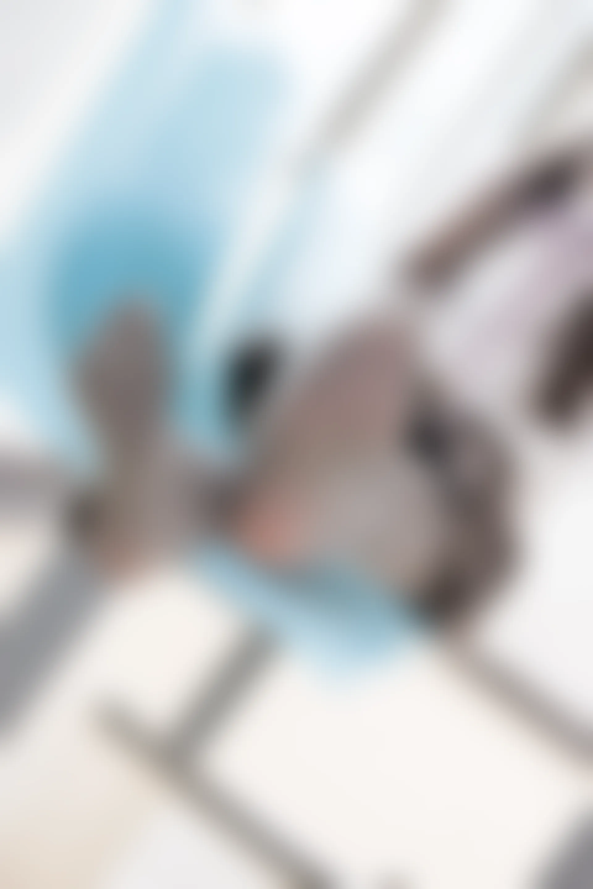 森萝财团 R15-042 [96P-549M]学生装, 森萝财团, 美腿, 黑丝