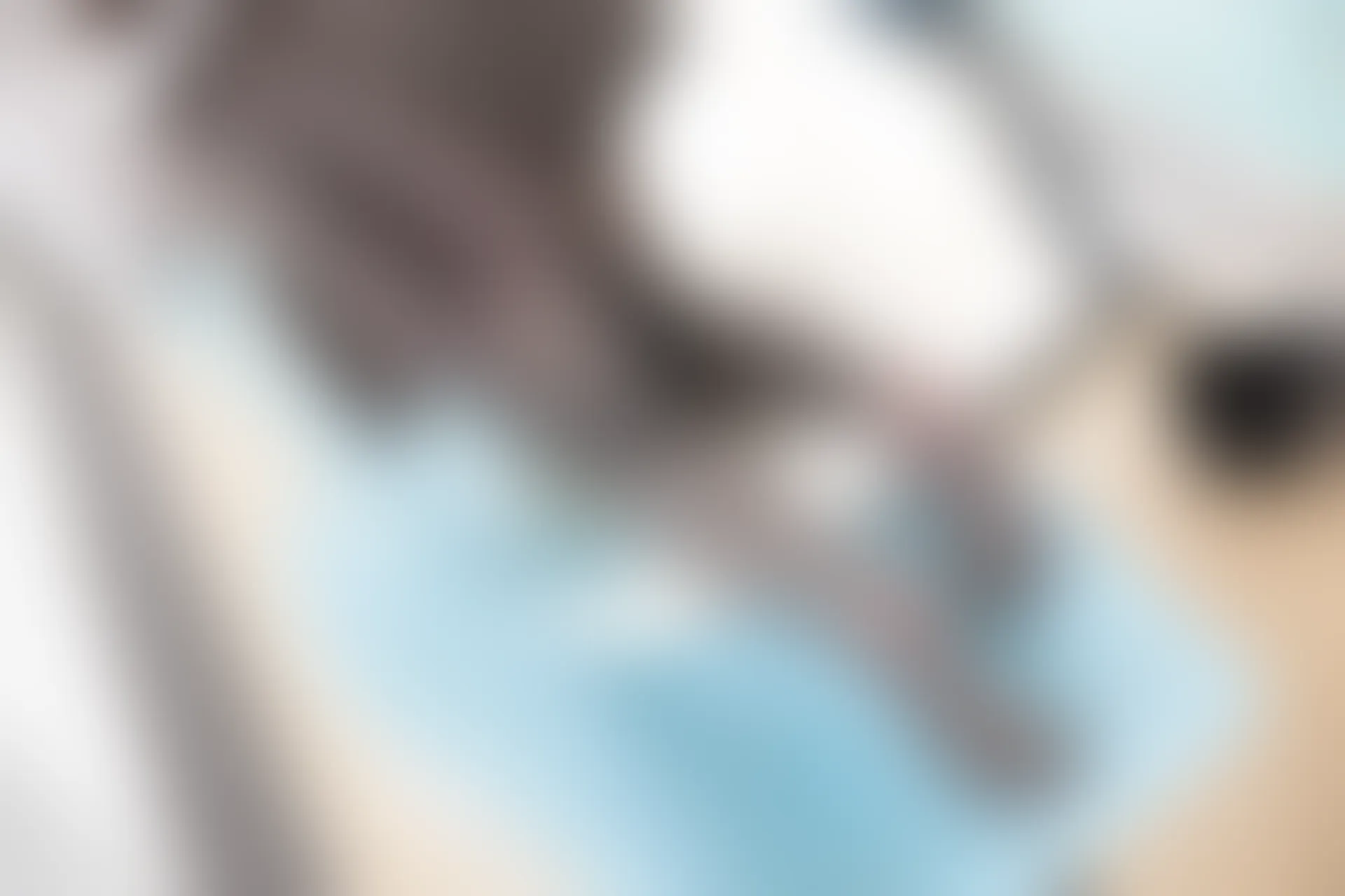 森萝财团 R15-042 [96P-549M]学生装, 森萝财团, 美腿, 黑丝