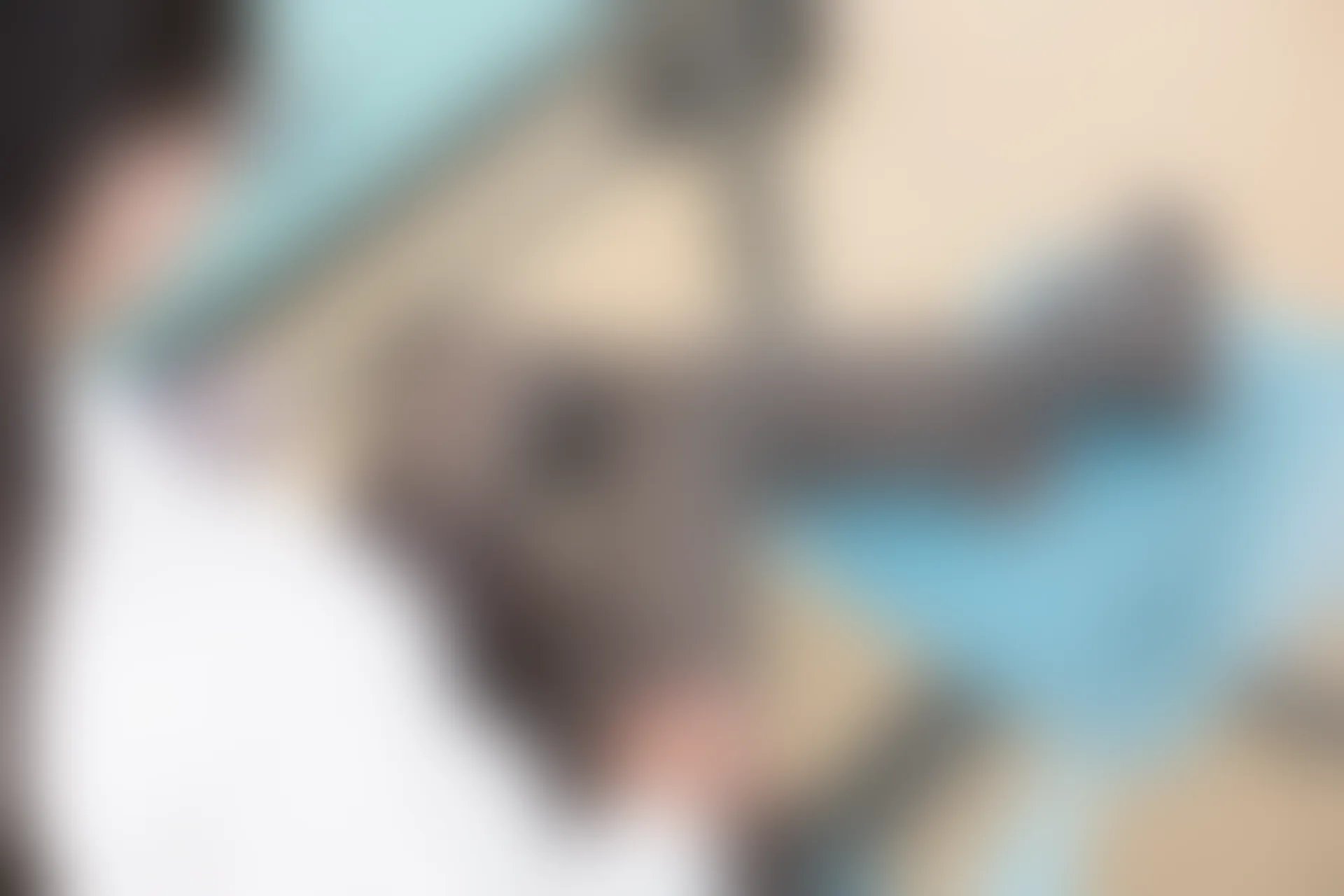 森萝财团 R15-042 [96P-549M]学生装, 森萝财团, 美腿, 黑丝