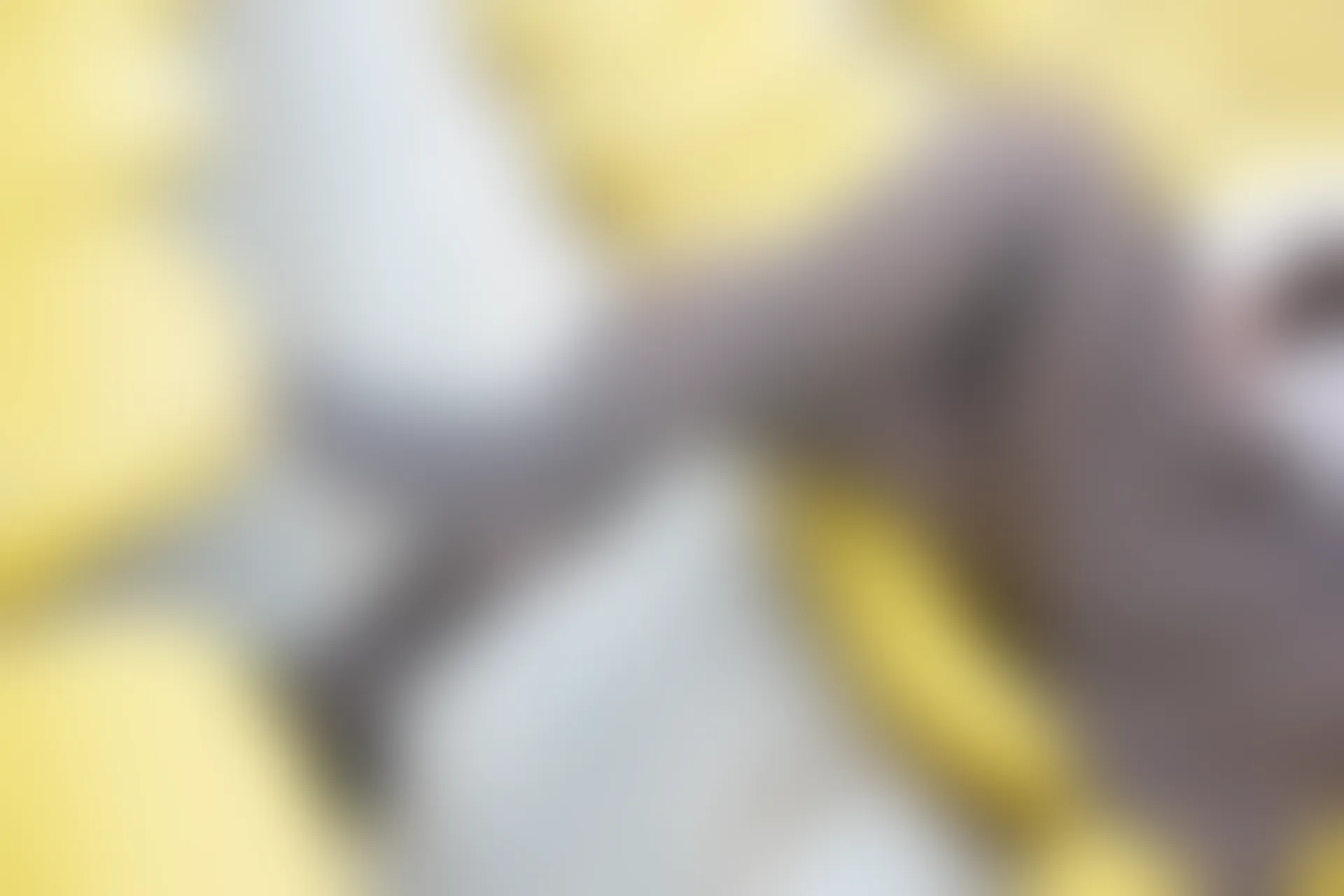 森萝财团 R15-042 [96P-549M]学生装, 森萝财团, 美腿, 黑丝