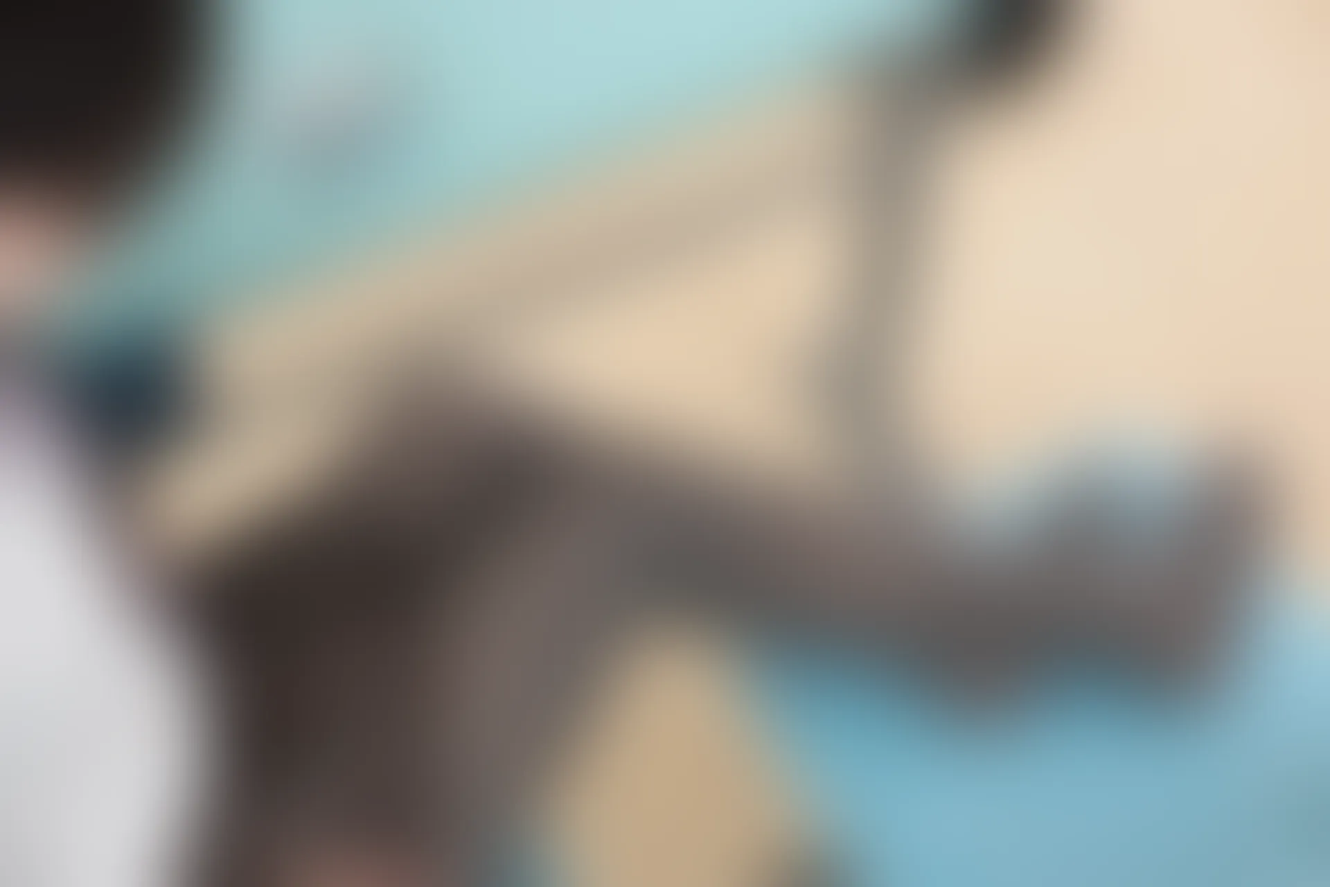 森萝财团 R15-042 [96P-549M]学生装, 森萝财团, 美腿, 黑丝