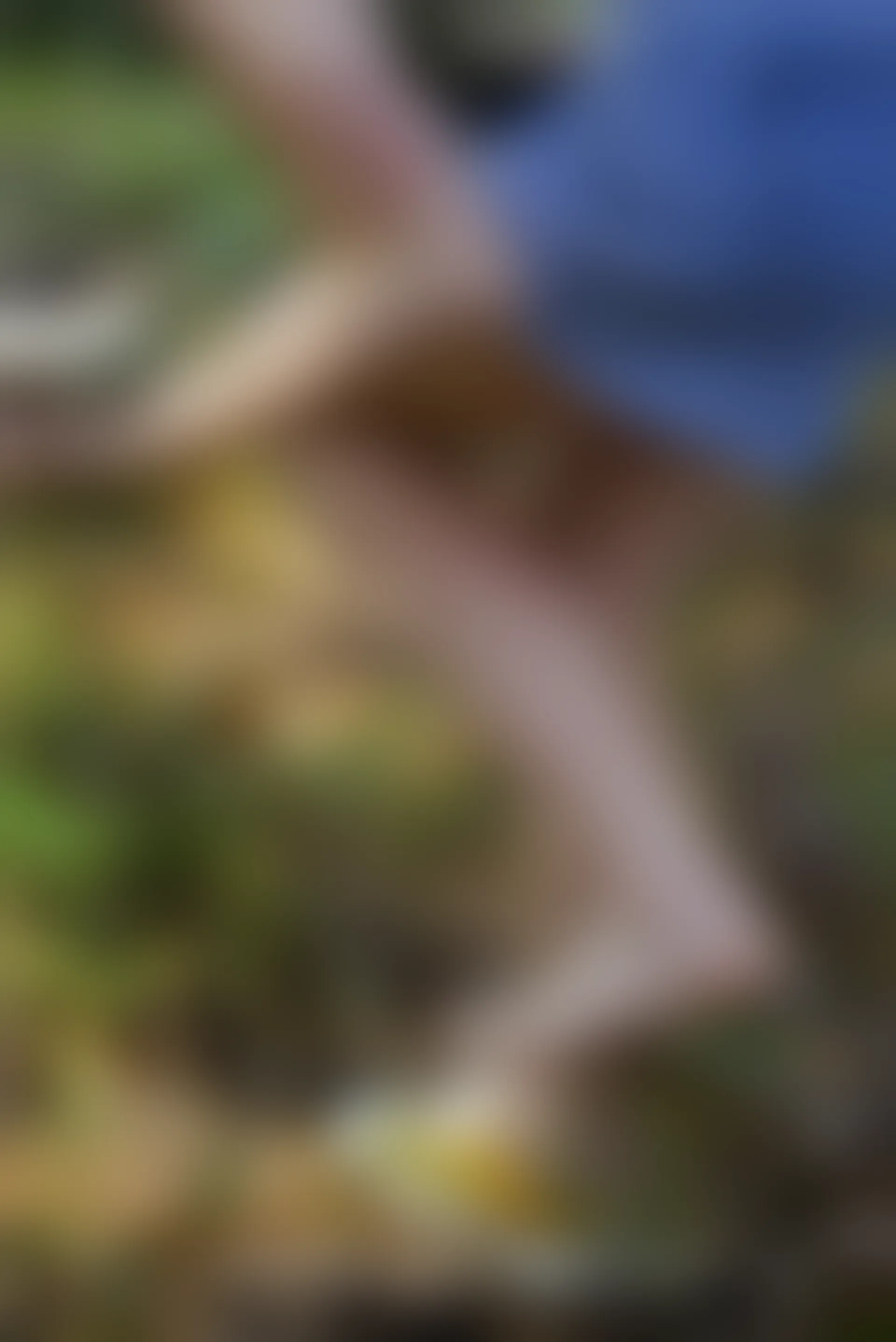 初夏女神 NO.052 大发 山野大发[132P+1V／4.04GB]