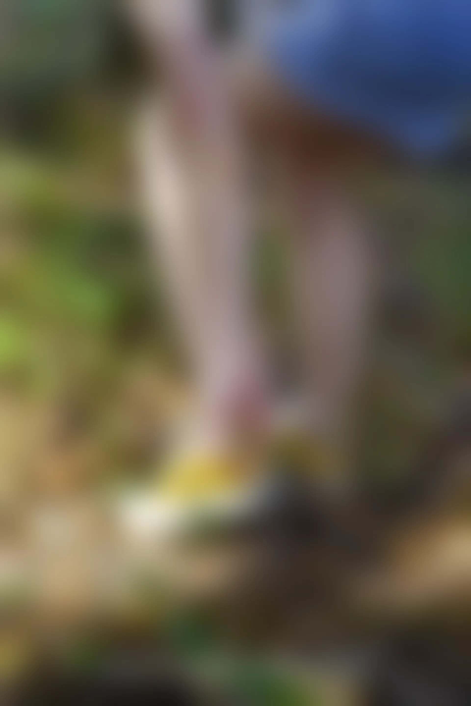 初夏女神 NO.052 大发 山野大发[132P+1V／4.04GB]