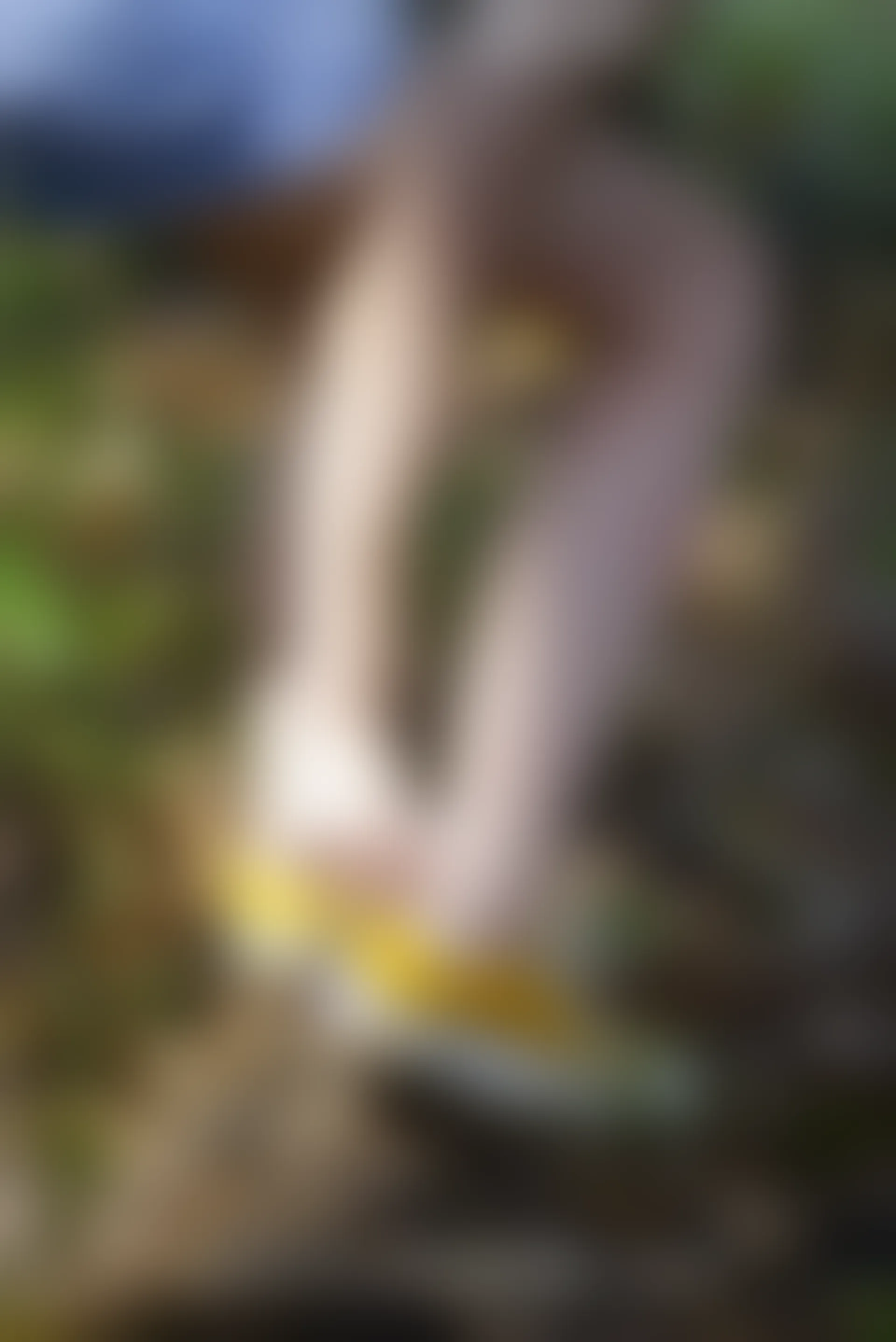 初夏女神 NO.052 大发 山野大发[132P+1V／4.04GB]