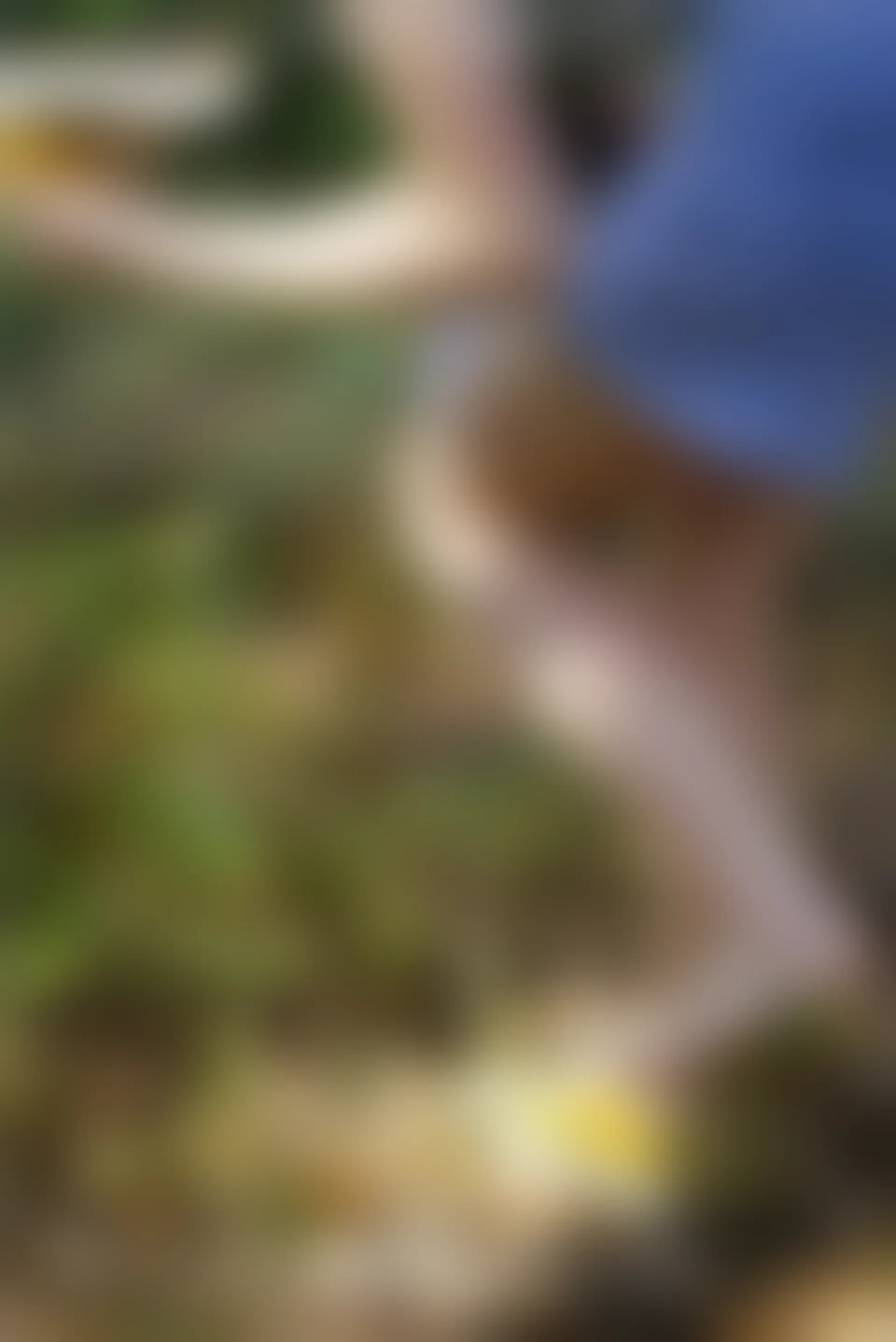 初夏女神 NO.052 大发 山野大发[132P+1V／4.04GB]