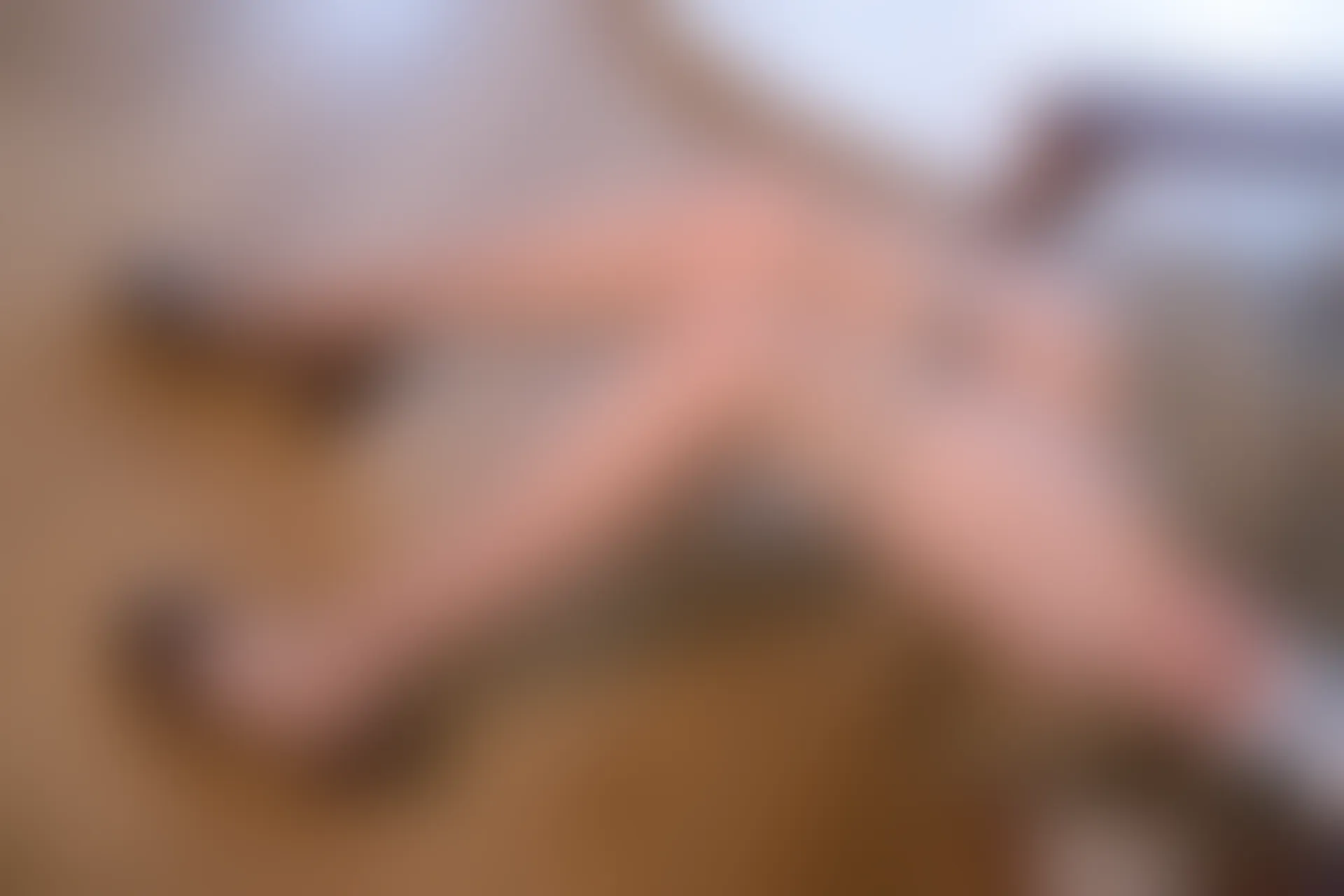 森萝财团 X-001 [132P1V-1G美腿, 肉丝