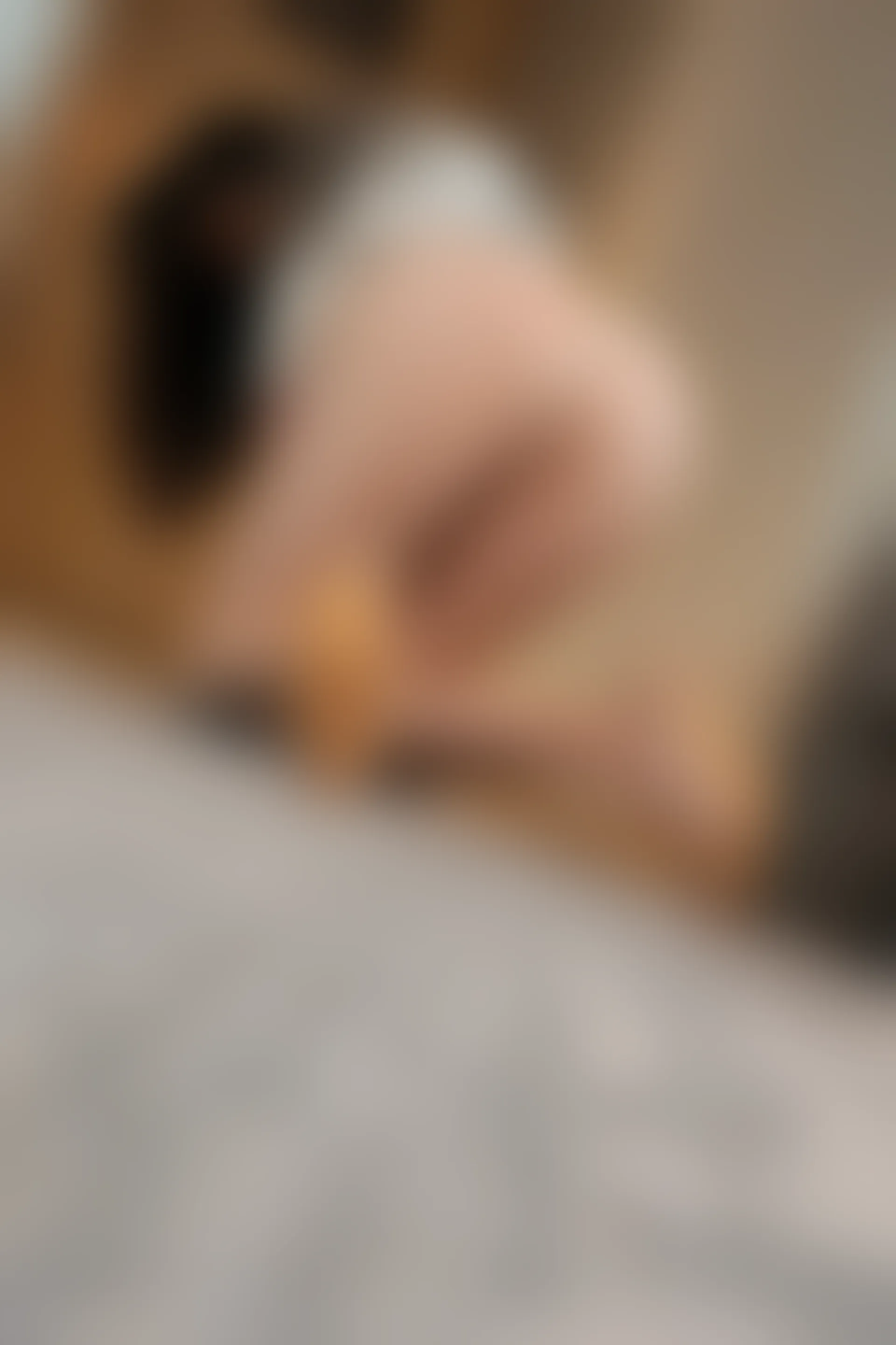 XiuRen秀人网 2022.03.09 No.4689 Arude薇薇 丝袜美腿[98+1P 904MB]