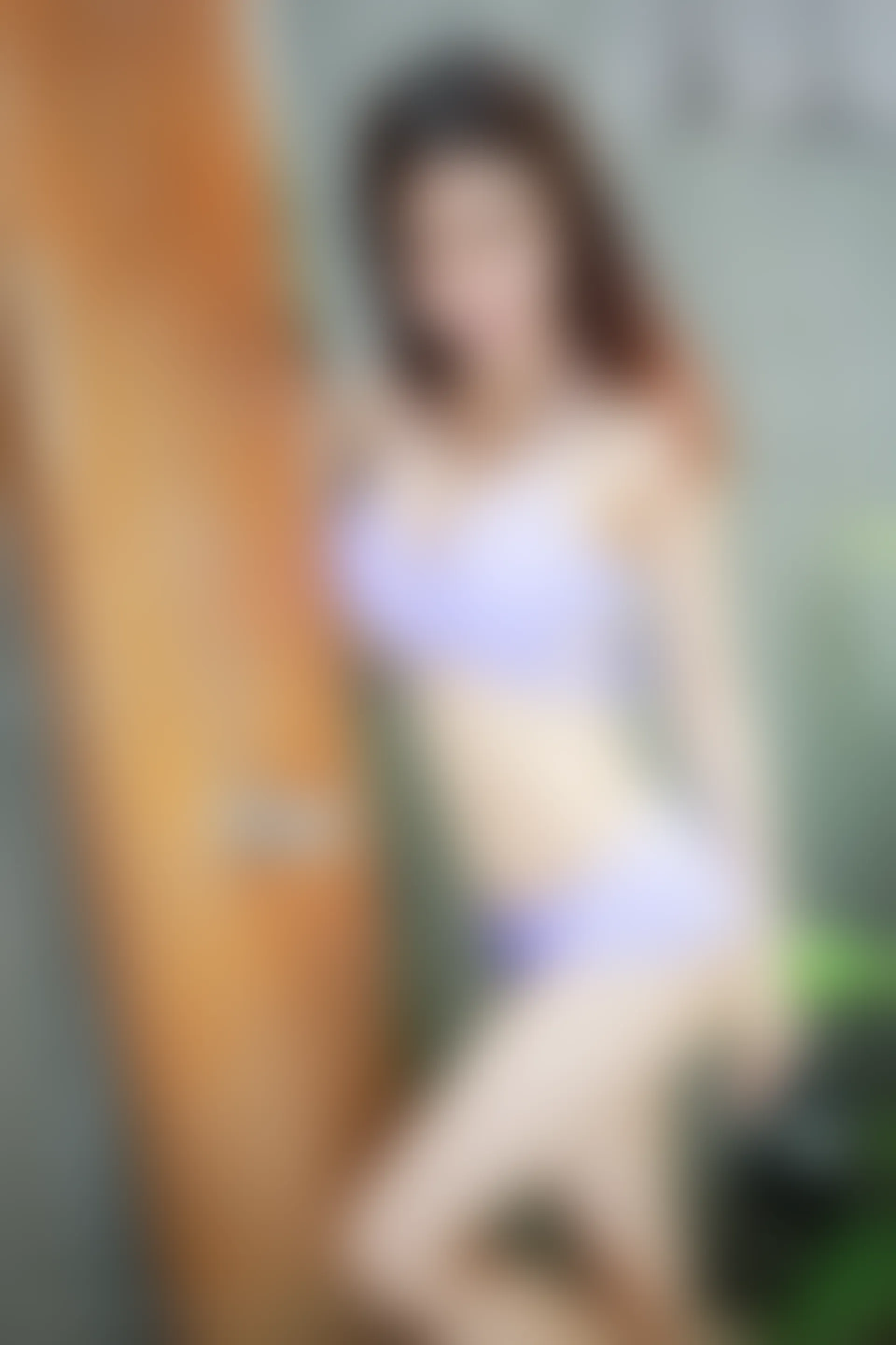XiuRen秀人网 2014.08.05 No.197 绮里嘉ula[61+1P430M]
