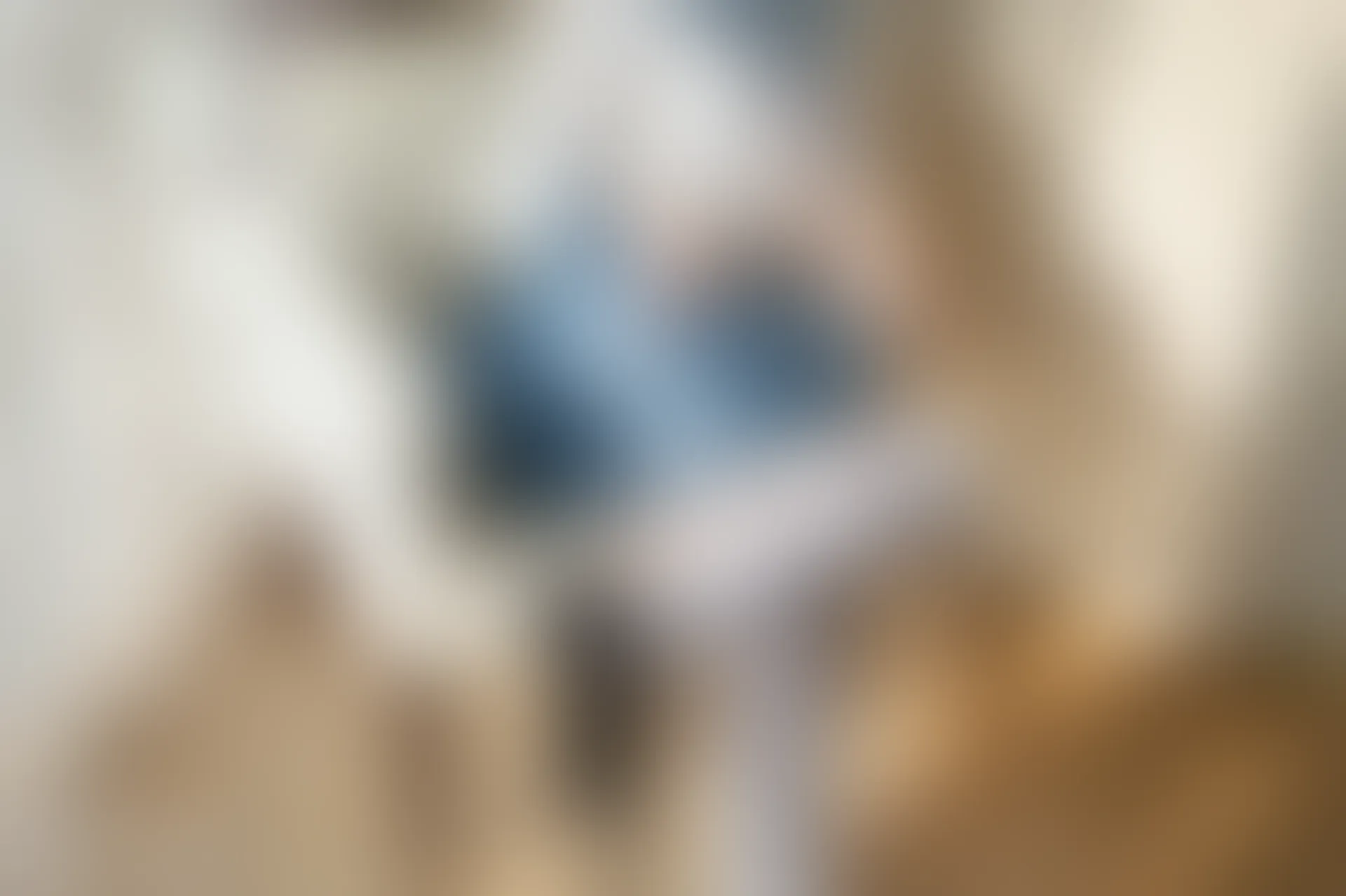 C41.004 蓝色水手服 [41P-88MB]