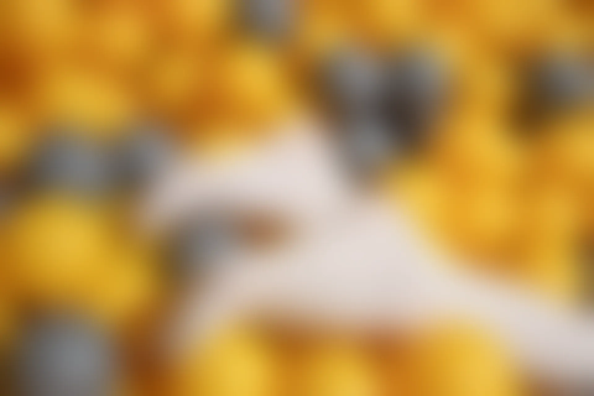 森萝财团 X-047-DZ [141P1V-2.84G]Aika, 可爱, 森萝财团, 白丝, 美腿