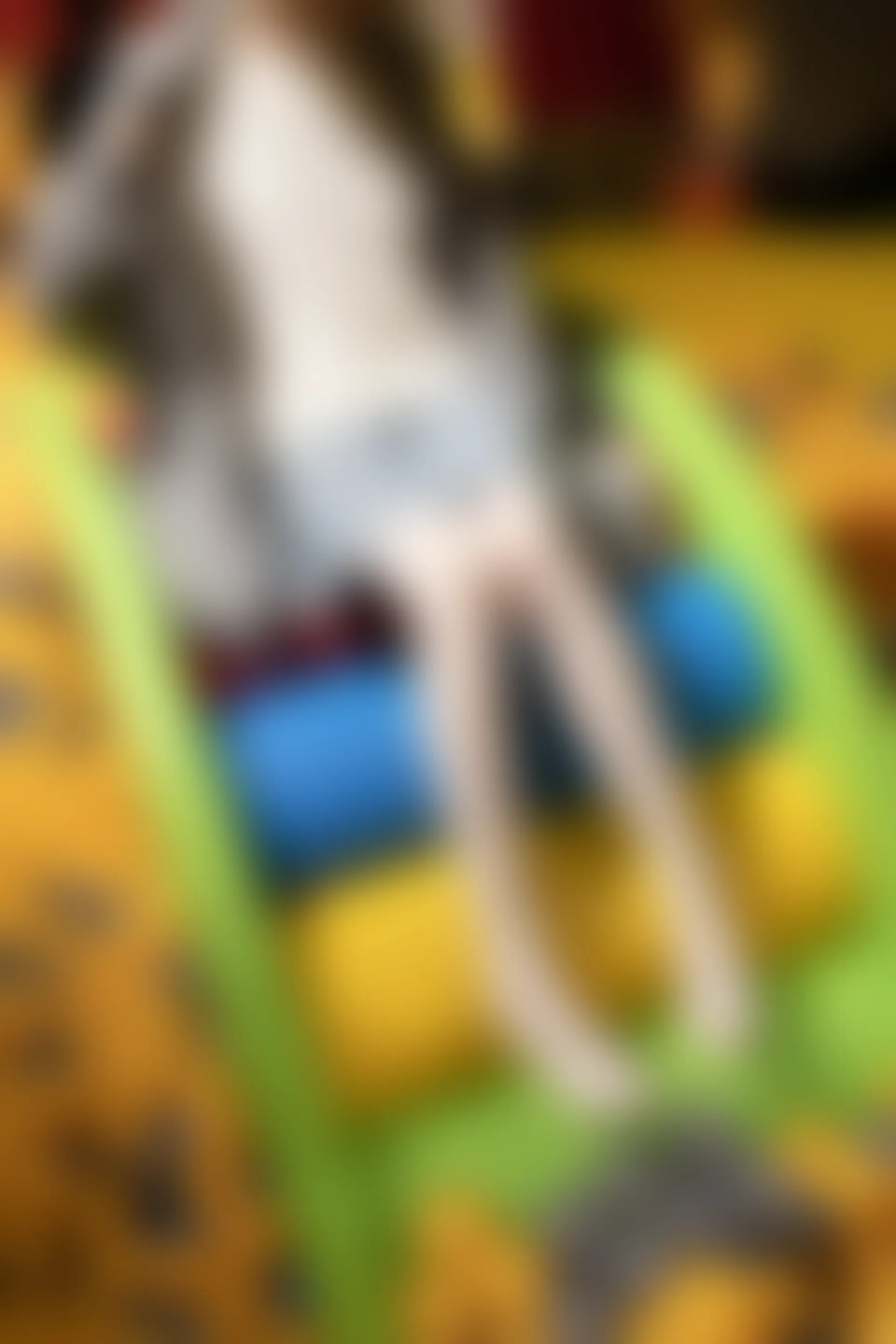 森萝财团 X-047-DZ [141P1V-2.84G]Aika, 可爱, 森萝财团, 白丝, 美腿