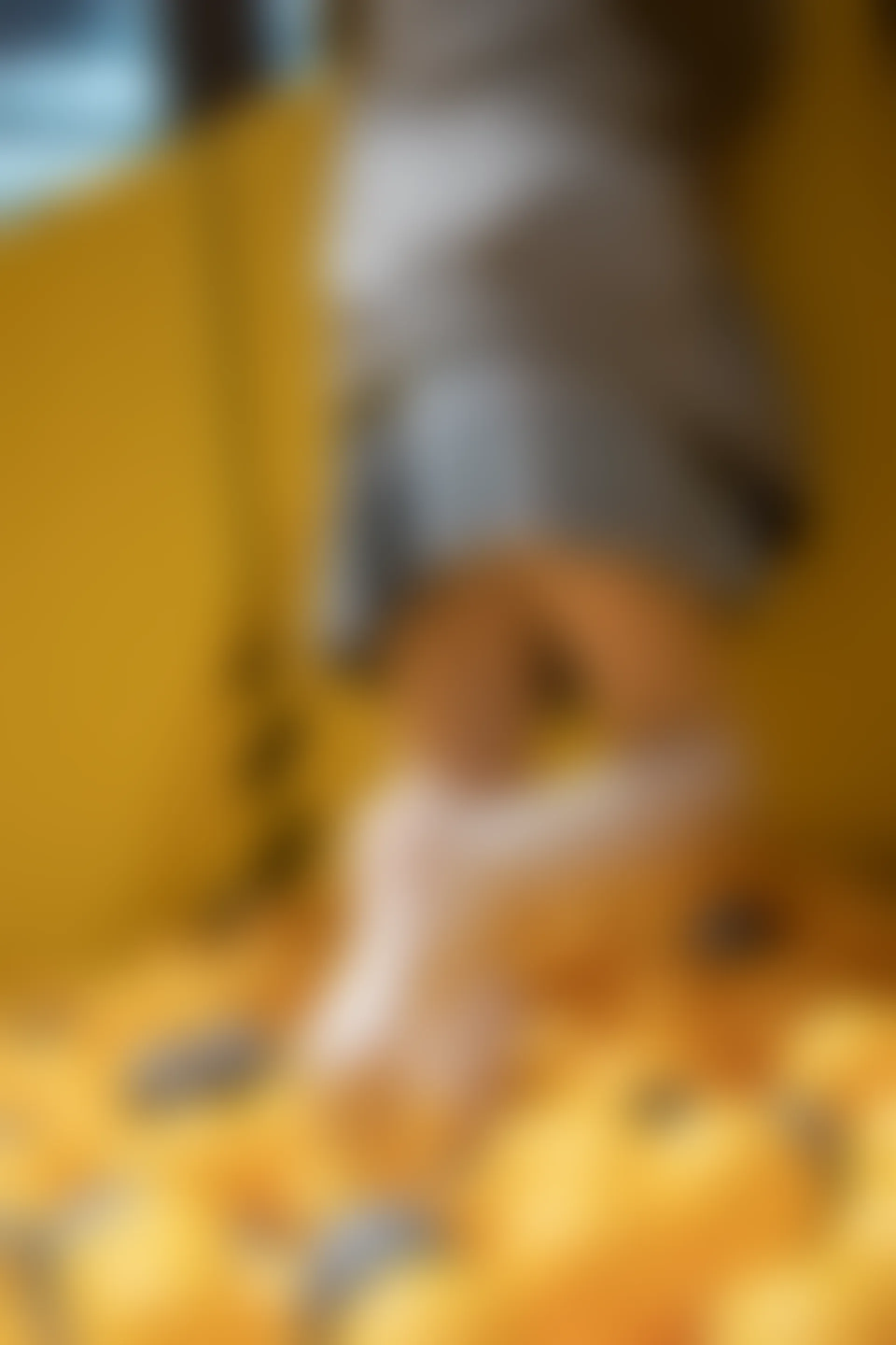 森萝财团 X-047-DZ [141P1V-2.84G]Aika, 可爱, 森萝财团, 白丝, 美腿