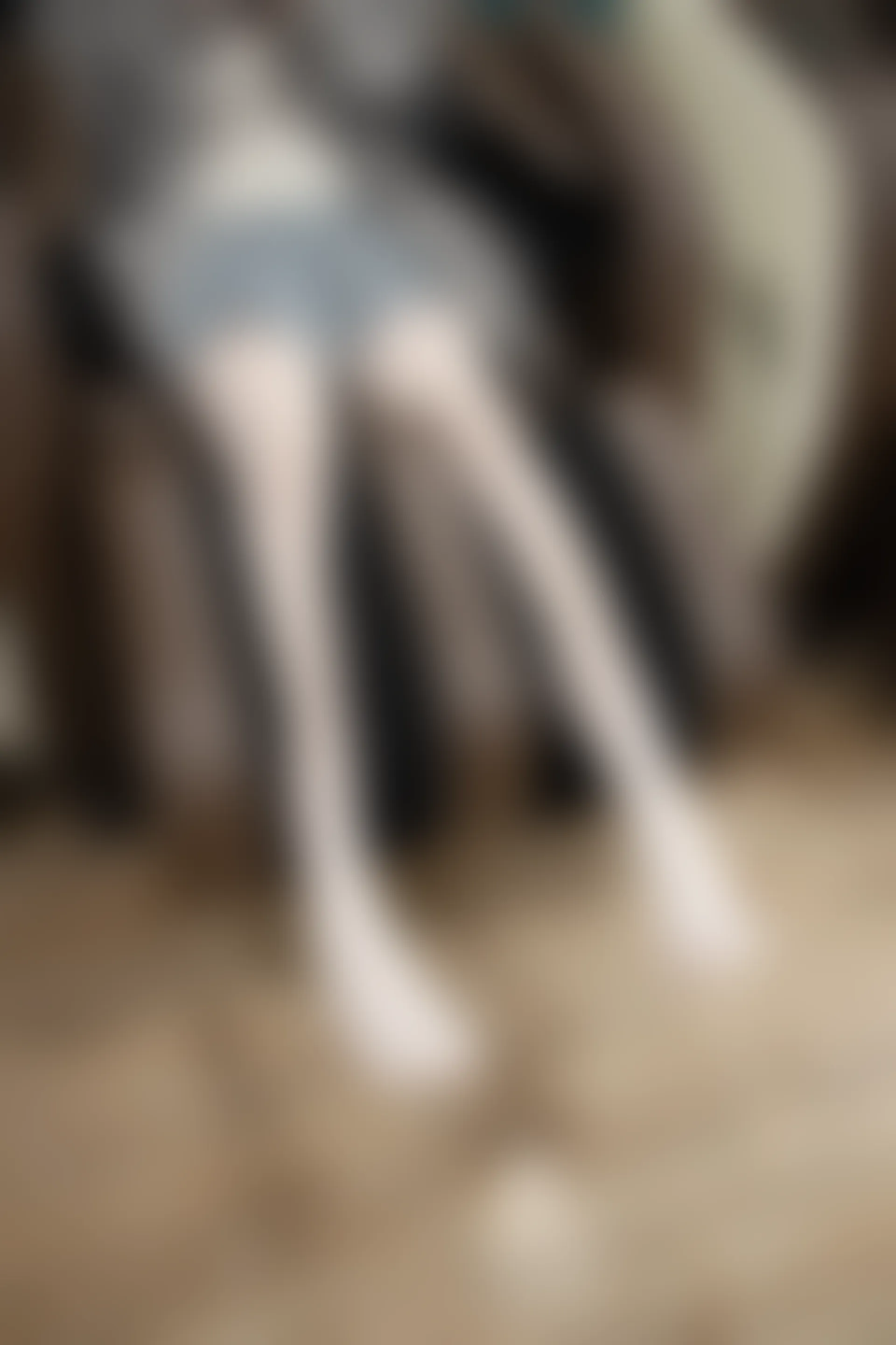森萝财团 X-047-DZ [141P1V-2.84G]Aika, 可爱, 森萝财团, 白丝, 美腿