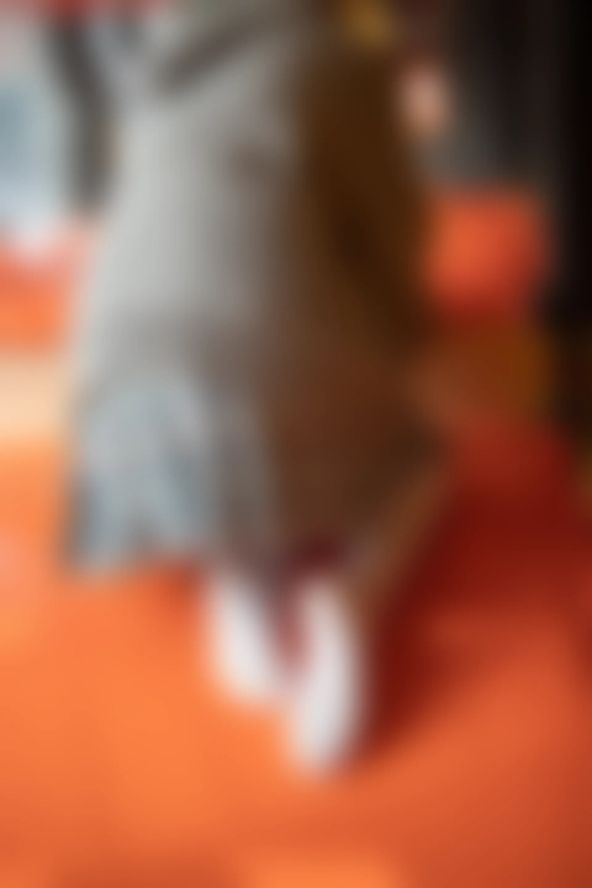 森萝财团 X-047-DZ [141P1V-2.84G]Aika, 可爱, 森萝财团, 白丝, 美腿
