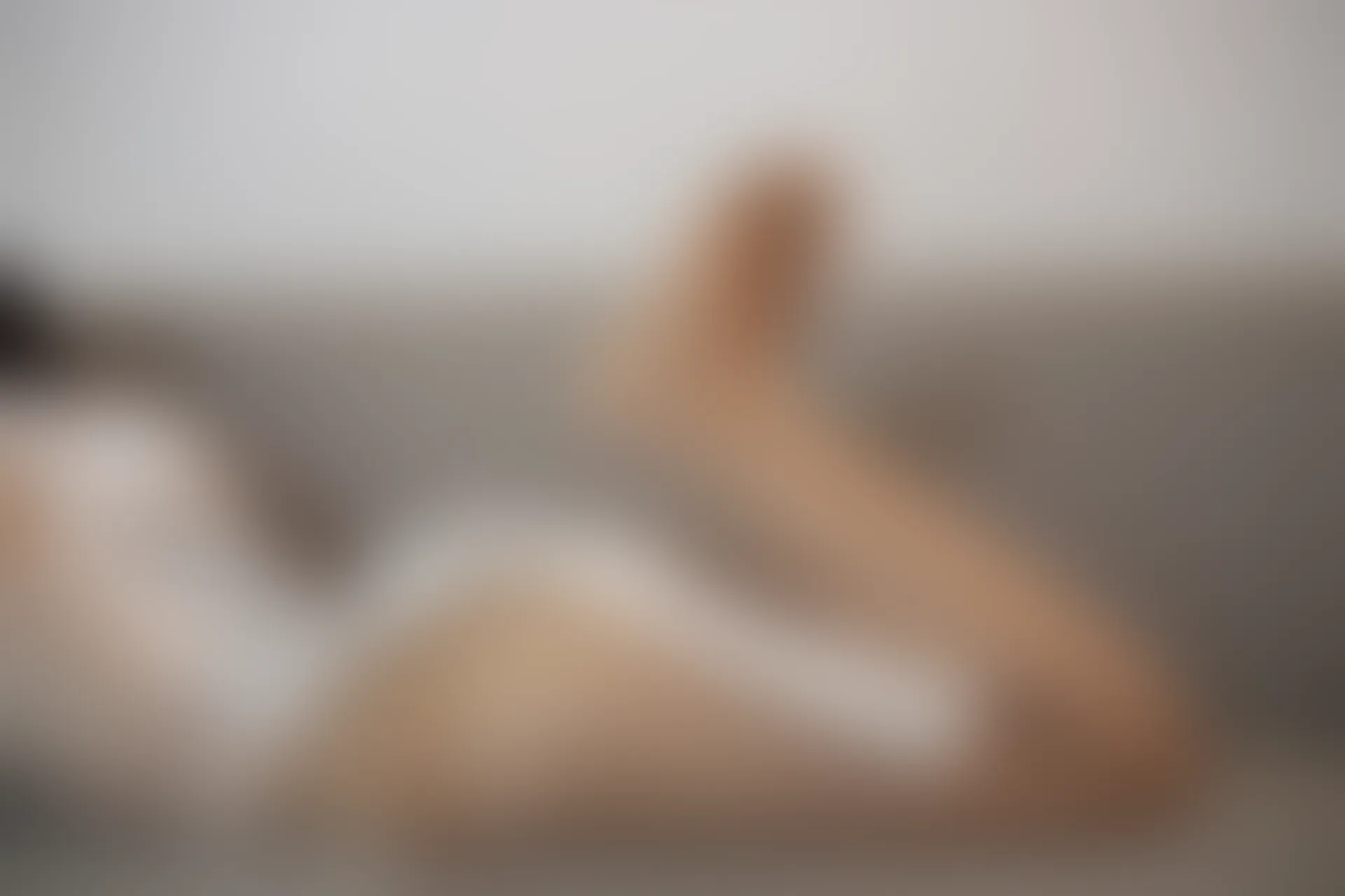 JKFUN GG-05 [228P2V-7.91G]JKFUN, 森萝财团, 死库水, 美腿, 美足, 肉丝, 黑丝